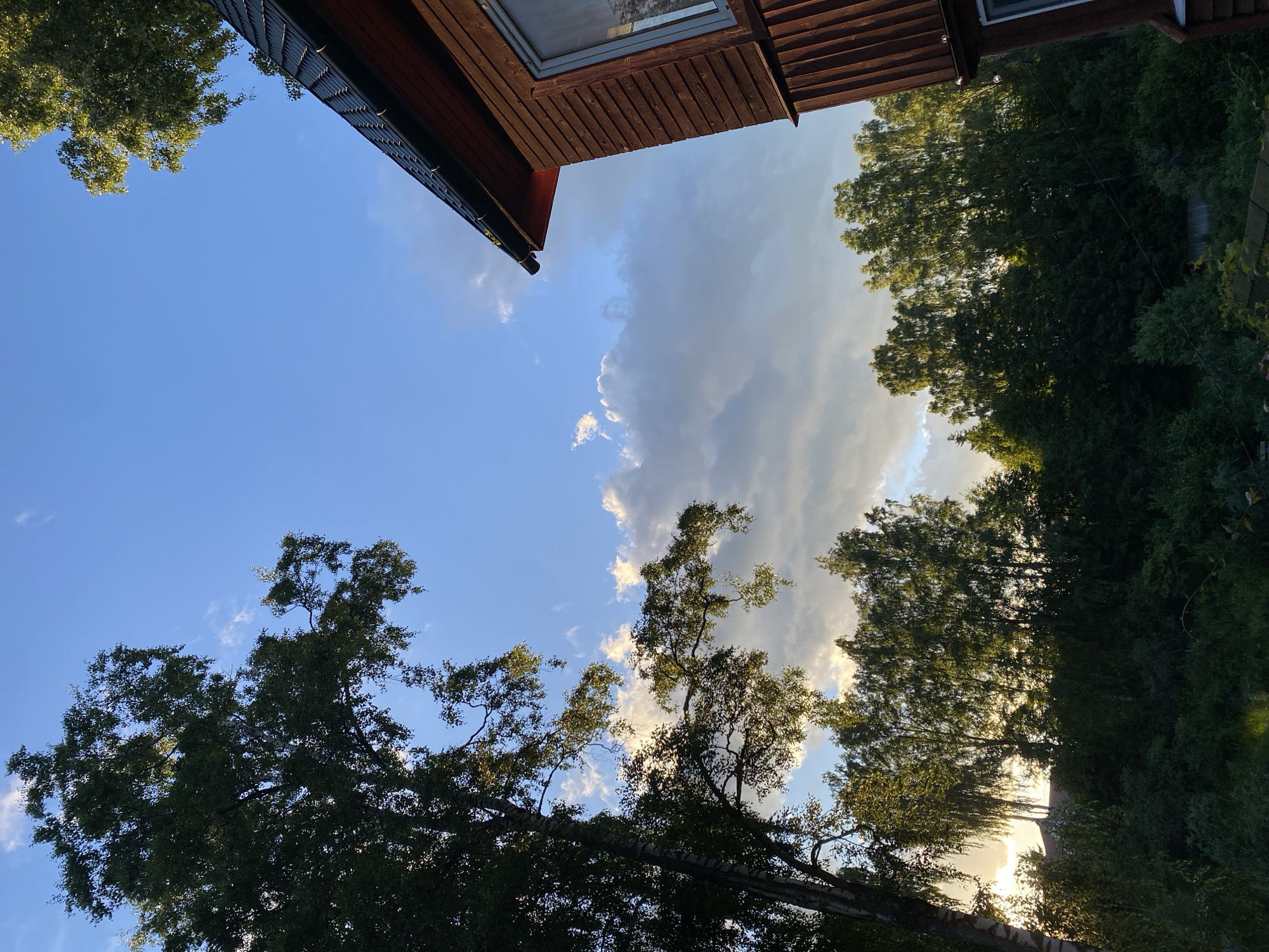 The image shows a view looking upwards from a ground-level perspective, likely taken outdoors in a rural or suburban setting. The foreground is dominated by the dark green foliage of trees, some of which have bare branches visible. These trees frame the sky, which is a bright blue with scattered white clouds. In the upper left quadrant, a portion of a building's roof is visible. The roof is made of dark wooden planks and has a gutter. The building appears to be a house or cabin. The sun is setting or has recently set, as evidenced by the warm, golden light filtering through the trees and illuminating the clouds. This creates a serene and peaceful atmosphere. The overall scene suggests a quiet evening in the countryside, possibly during late summer or early autumn, given the foliage. There is no visible text in the image.