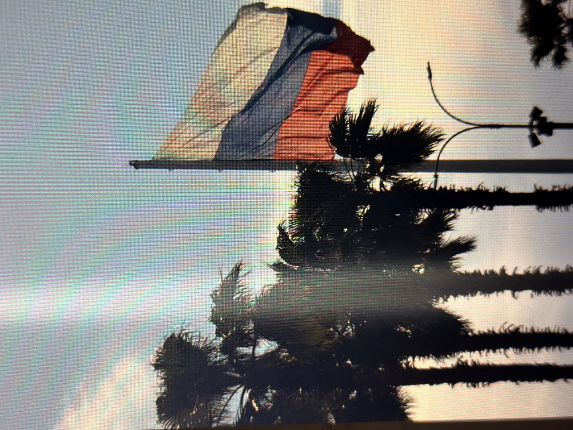The image shows a Russian flag flying in the wind against a bright sky. The flag is composed of three horizontal stripes: white, blue, and red, from top to bottom. The flag is partially obscured by the silhouette of palm trees. A lamppost with lights is also visible in the background, to the right of the flag. The sky appears hazy or cloudy, with a bright, diffused light suggesting it might be sunrise or sunset. The presence of palm trees and the mention of "Sirius, Russia" as a location context, suggests this might be a coastal area or a park within Sirius. No text is visible in the image.