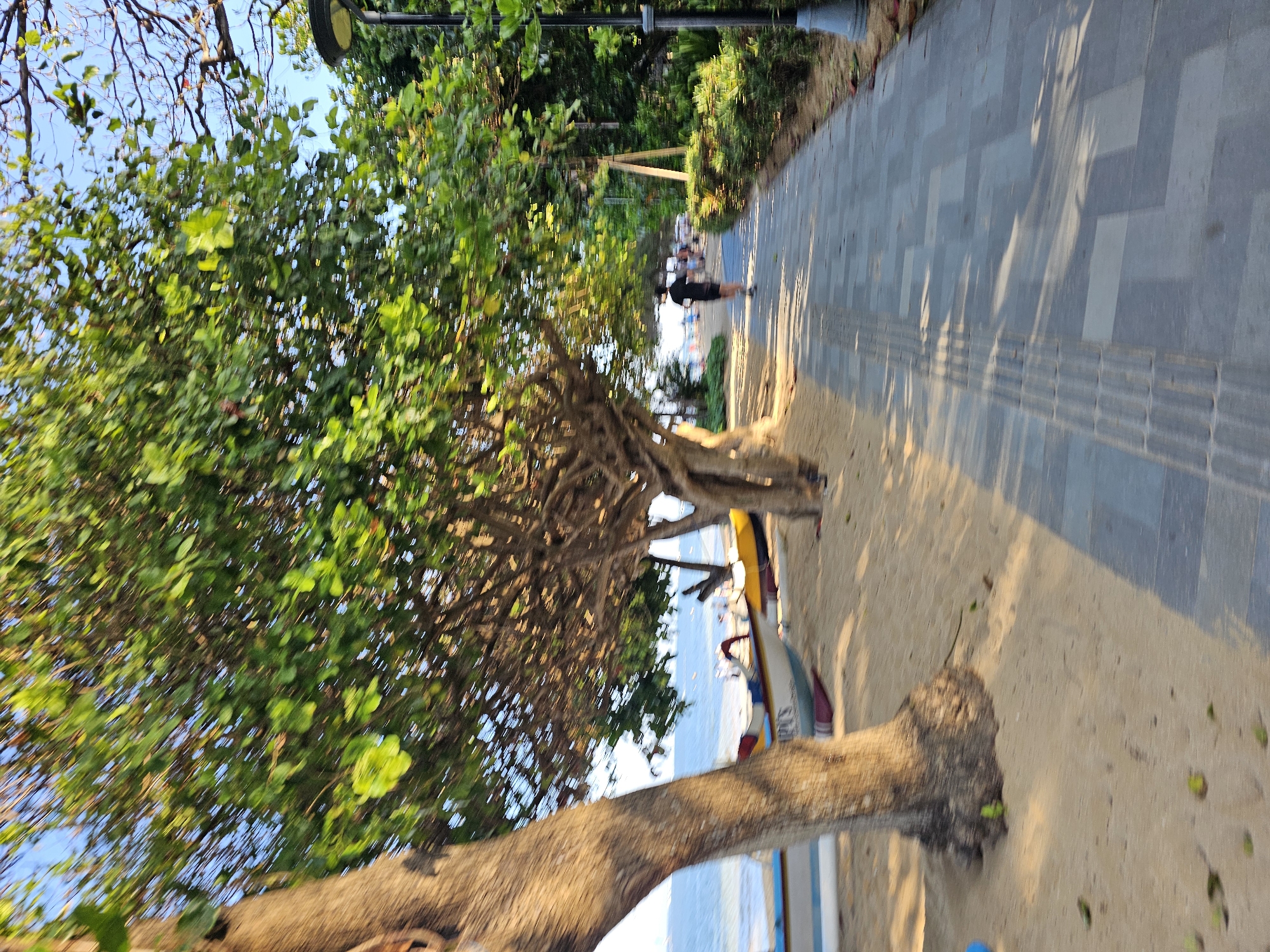 The image depicts a paved walkway alongside a sandy beach lined with trees. The walkway is constructed with gray and lighter gray rectangular pavers laid in a repeating geometric pattern. A tactile paving strip is present along the edge of the walkway closest to the beach. On the beach, several boats are visible, some appearing to be traditional outrigger canoes. Lush green trees with dense foliage line the beach and the walkway, casting shadows on the paved surface. In the background, the ocean is visible under a clear blue sky. A single person, wearing a dark t-shirt and shorts, is jogging on the walkway away from the viewer. A lamppost is situated on the right side of the walkway, with its base partially visible. The scene appears to be a public area in Denpasar, Indonesia, likely a promenade or park area near the coast, given the presence of the beach, boats, and tropical vegetation.
