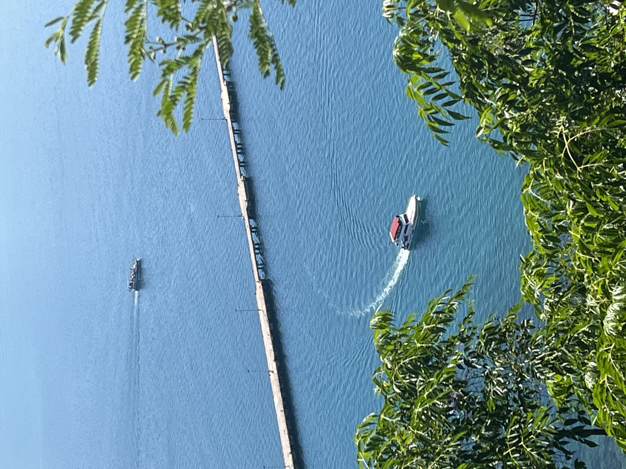 The image shows a body of water, likely the sea, with two boats. One boat is farther away and smaller, moving in a straight line, while the other is closer, larger, and making a turn, creating a wake. A long pier extends into the water, positioned between the two boats. The scene is framed by foliage at the top and right of the image, partially obscuring the view. Based on the pier and overall appearance, the location is likely Alanya, Turkey.