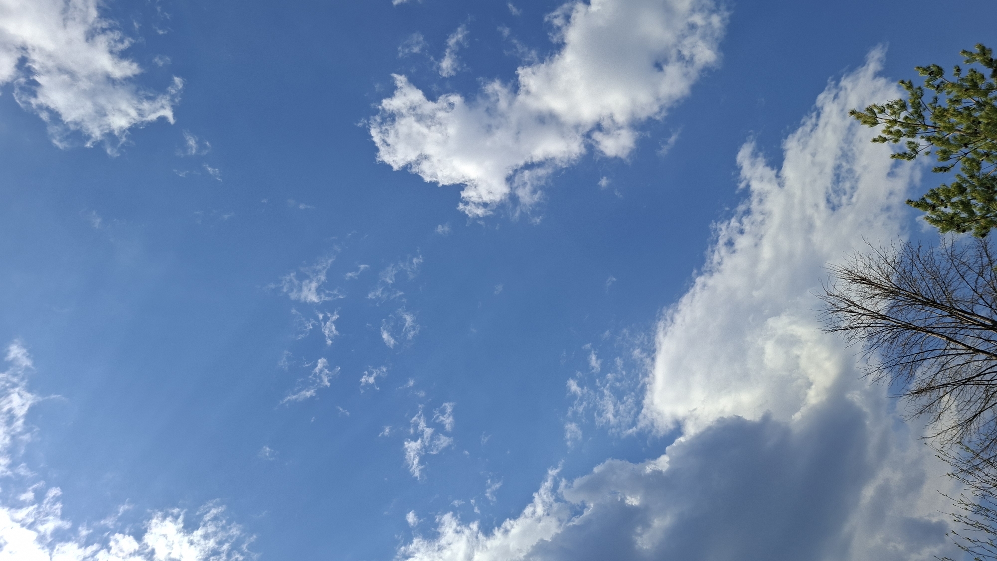 The image shows a daytime sky with a mix of cumulus and cirrus clouds. The sky is predominantly blue. In the upper right corner, there's a portion of a pine tree with green needles. Below the pine tree are bare tree branches. The image does not depict any people, actions, or interactions. It appears to be a view looking upwards, likely taken outdoors in the city of Большой Букор, Russia.