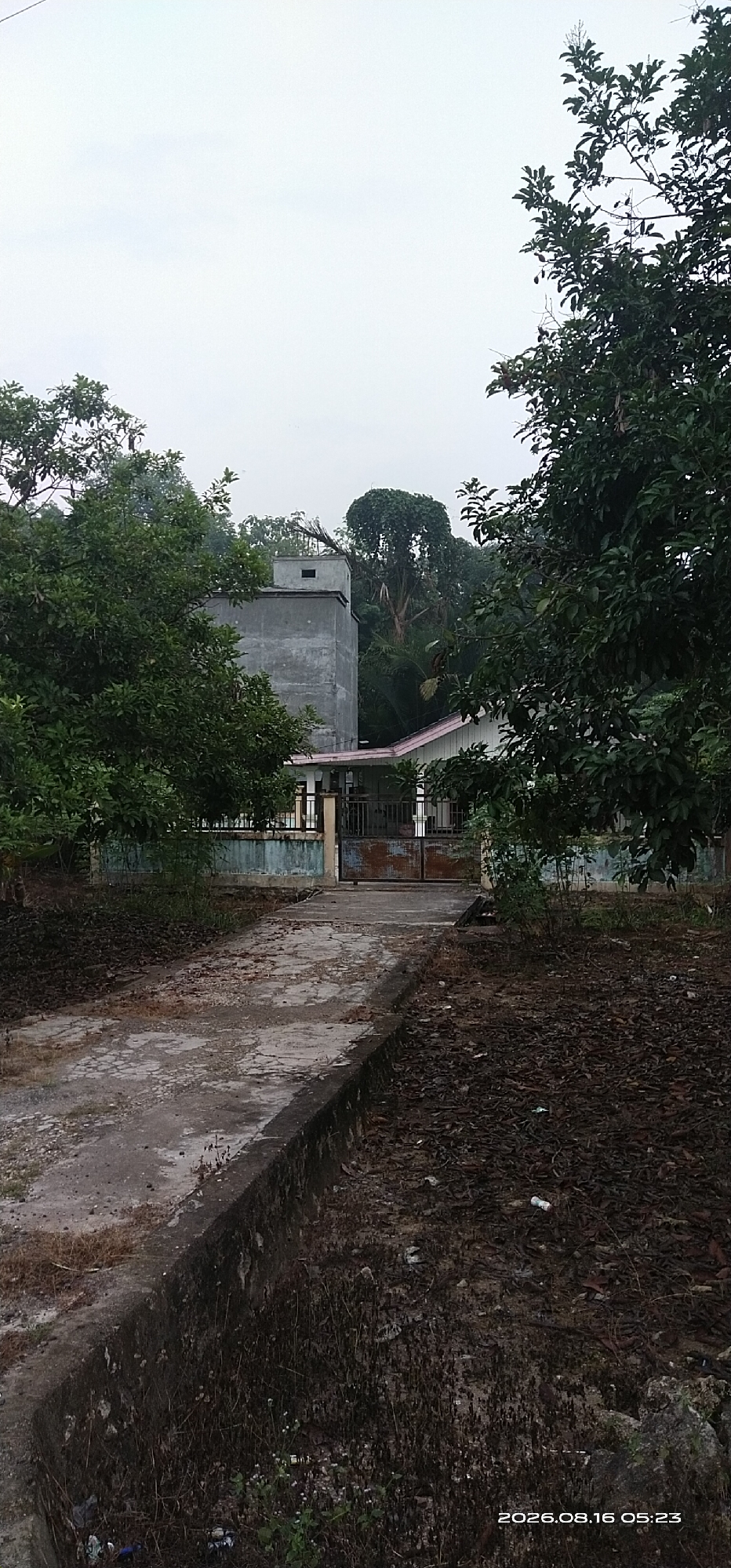 A wide-angle, vertical outdoor shot shows a pathway leading towards a building with a tall, grey, concrete structure attached. The pathway is cracked and weathered, with dry leaves and debris scattered on its surface and along the sides. To the left, there is a concrete ditch overgrown with weeds and small plants. To the right of the pathway, the ground is covered in a thick layer of dry leaves. The building has a white facade with a pink trim on the roofline. A rusty metal gate stands in front of the building, with a fence and a low, weathered wall extending outwards. Lush green trees frame the scene, with dense foliage partially obscuring the view of the building and the sky. The sky is overcast and pale grey. The overall impression is one of a somewhat neglected rural or suburban property. The timestamp "2026.08.16 05:23" is visible in the bottom right corner, indicating the date and time the image was taken. The location is identified as Muka Haji, Indonesia. There are no people or animals visible in the image.