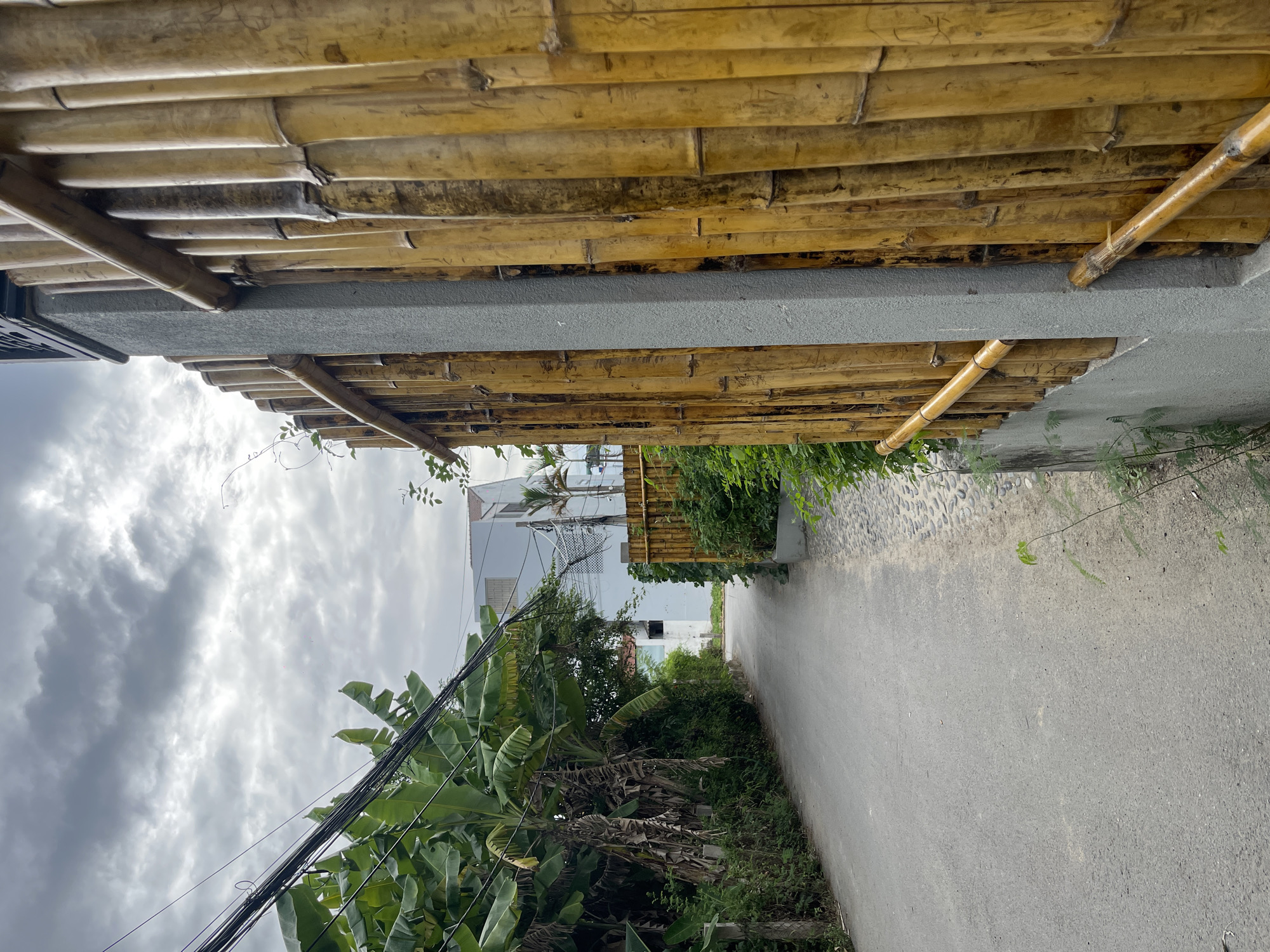 The image captures a view down a narrow paved road lined with lush greenery and banana trees. Overhead, a rustic bamboo structure creates a partial roof, casting shadows. The sky is overcast with heavy, grey clouds, suggesting a potentially rainy or stormy day.
On the left side of the road, thick foliage and the broad leaves of banana plants dominate the scene. Electrical wires snake across the sky, strung between poles and connecting to unseen structures. In the distance, white buildings with traditional Vietnamese architectural elements can be seen, interspersed with more greenery and glimpses of bamboo fencing. The road itself is a simple asphalt surface, appearing slightly damp, indicating recent rain or humidity.
The overall impression is one of a somewhat overgrown and humid tropical environment. The bamboo roofing and natural elements suggest a rural or semi-rural setting, possibly a pathway leading to a residential area or a small business. The subdued lighting due to the cloudy sky creates a somewhat muted atmosphere. There is no visible text in the image. The scene appears quiet and still, with no people or animals present. The location context of Hoi An, Vietnam, aligns with the visual cues of tropical vegetation, architecture, and overhead wiring common in the region.