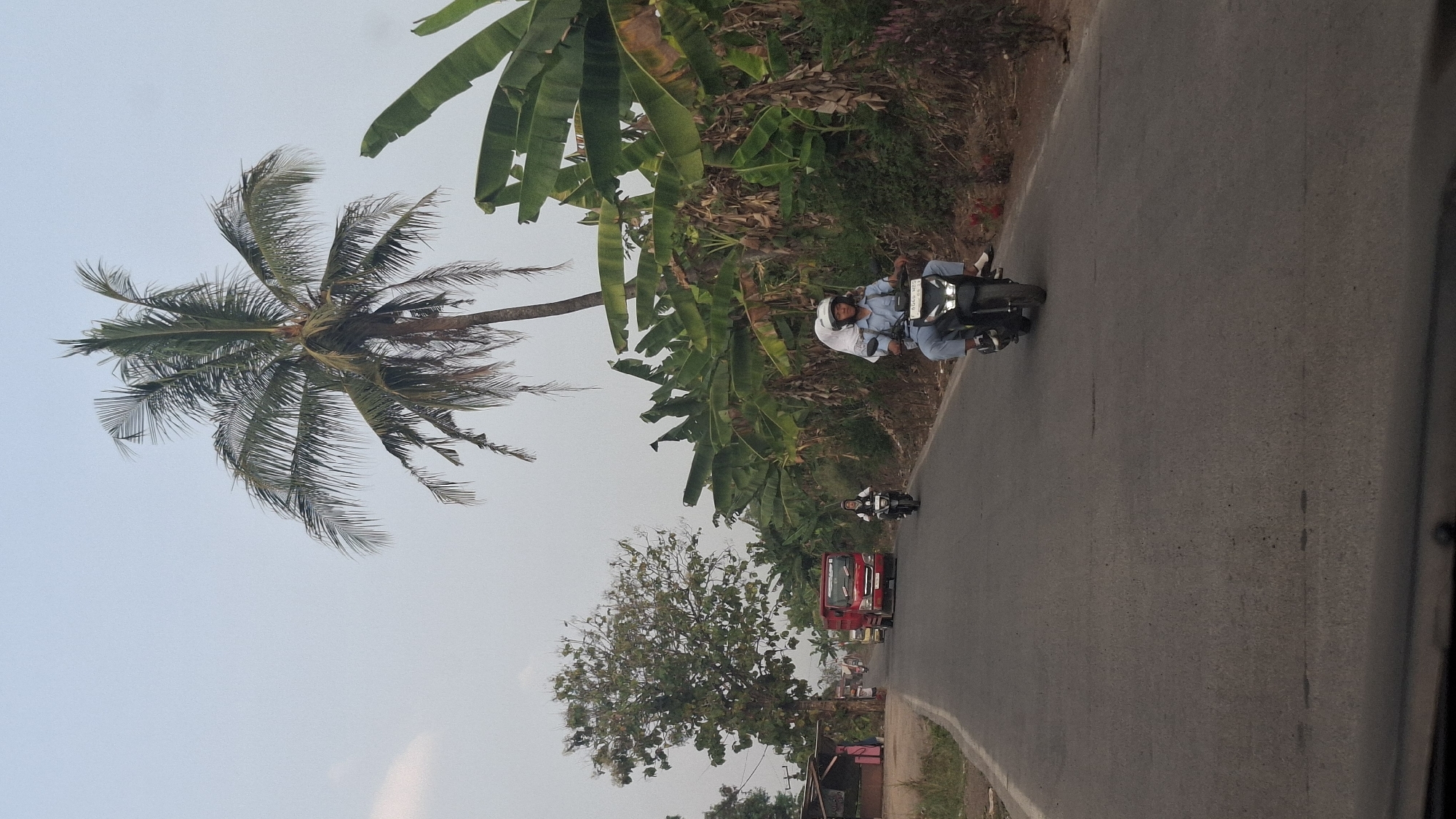 The image depicts a road scene in Cibinong Hilir, Indonesia, with a focus on tropical vegetation and local transportation. A paved road curves through the landscape, lined on the right by lush banana trees and a tall palm tree. On the left side of the road, there are some small buildings and trees.
Two motorcycles are visible on the road. In the foreground, a dark-colored motorcycle is carrying two people, both wearing helmets and casual clothing. The rider in front is wearing a light blue shirt and dark pants, while the passenger behind wears a white garment covering their head. Further down the road, another motorcycle with a single rider, also wearing a helmet, is in motion.
A red truck is also present on the road, moving in the opposite direction of the motorcycles. The sky is overcast with a pale, hazy light, suggesting it might be early morning or late afternoon. The overall impression is that of a typical rural or semi-urban road in a tropical region.