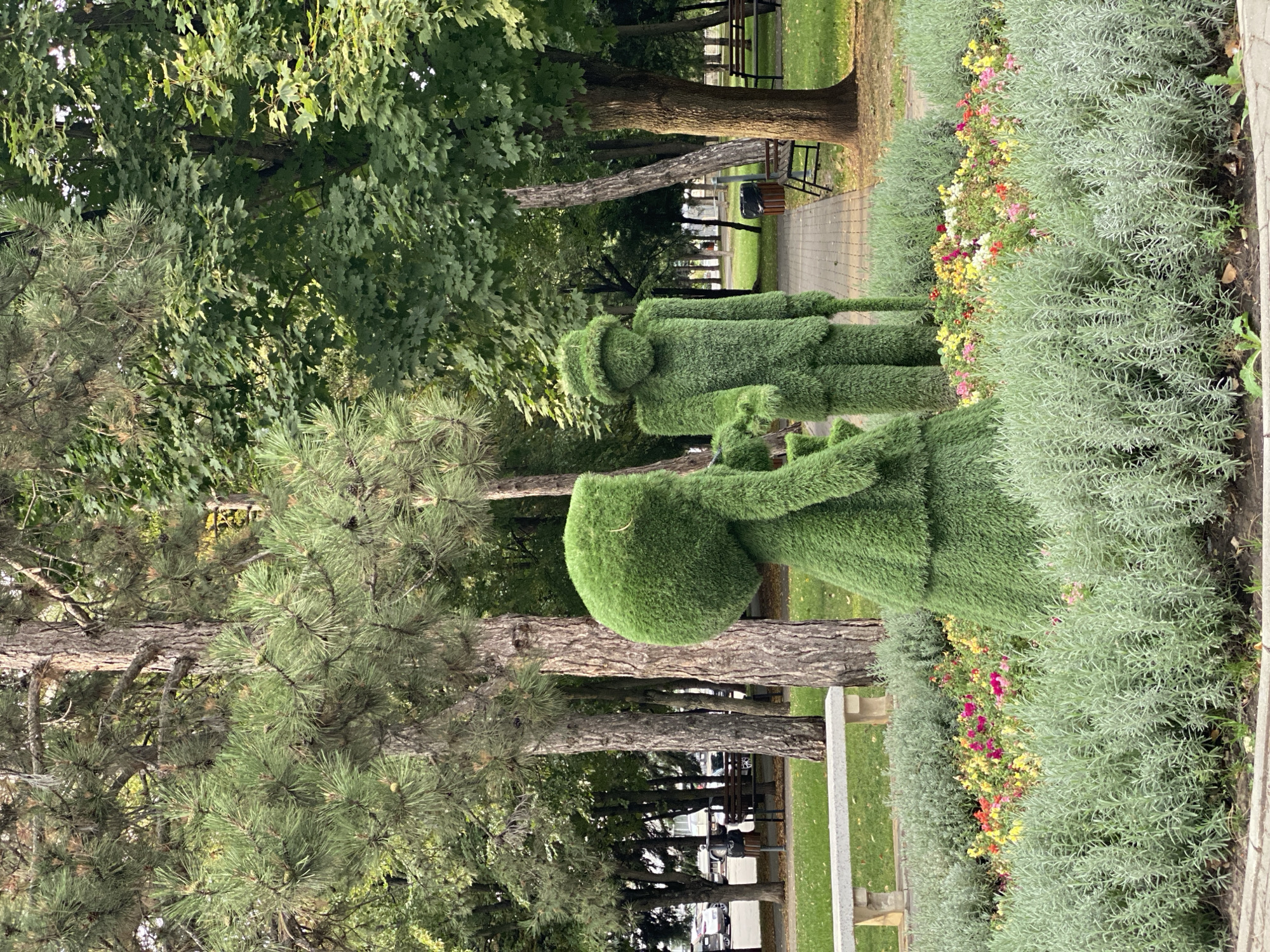 The image shows a public park scene in Chișinău, Moldova. In the foreground, two topiary figures are situated in a flower bed. One figure, on the left, is shaped like a woman in a dress with a large, rounded head. The other figure, to the right, is shaped like a man wearing a hat. Both figures are made of dense green foliage. They are positioned in front of a pathway and surrounded by a bed of colorful flowers, including pink, yellow, and red blooms, bordered by low-lying green plants.
Behind the topiary figures, several tall trees with full green canopies create a shaded environment. A paved pathway runs between the figures and further into the park. To the left of the pathway, a stone bench is visible, and beyond that, cars and a trash bin suggest the proximity of a road or parking area. In the background, more trees and park benches are scattered throughout the green lawn. The overall scene depicts a well-maintained park area, likely designed for public enjoyment.
