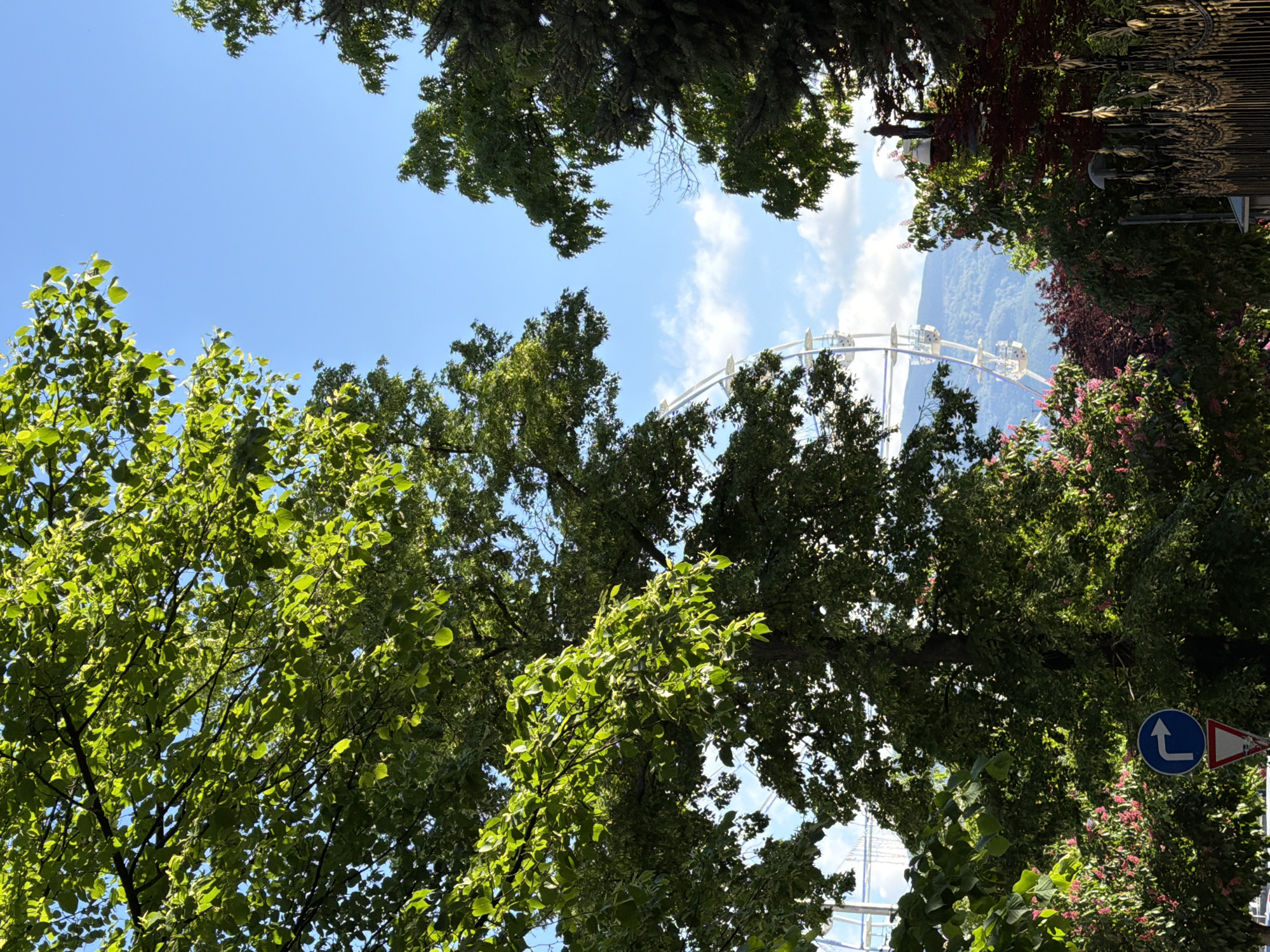 The image shows a view looking up through tree foliage towards a partly cloudy blue sky. A large Ferris wheel is visible through gaps in the trees. A blue and white traffic sign is visible on the right side. Based on the presence of the Ferris wheel, the location is likely in or near Borisova Gradina park in Sofia, Bulgaria.