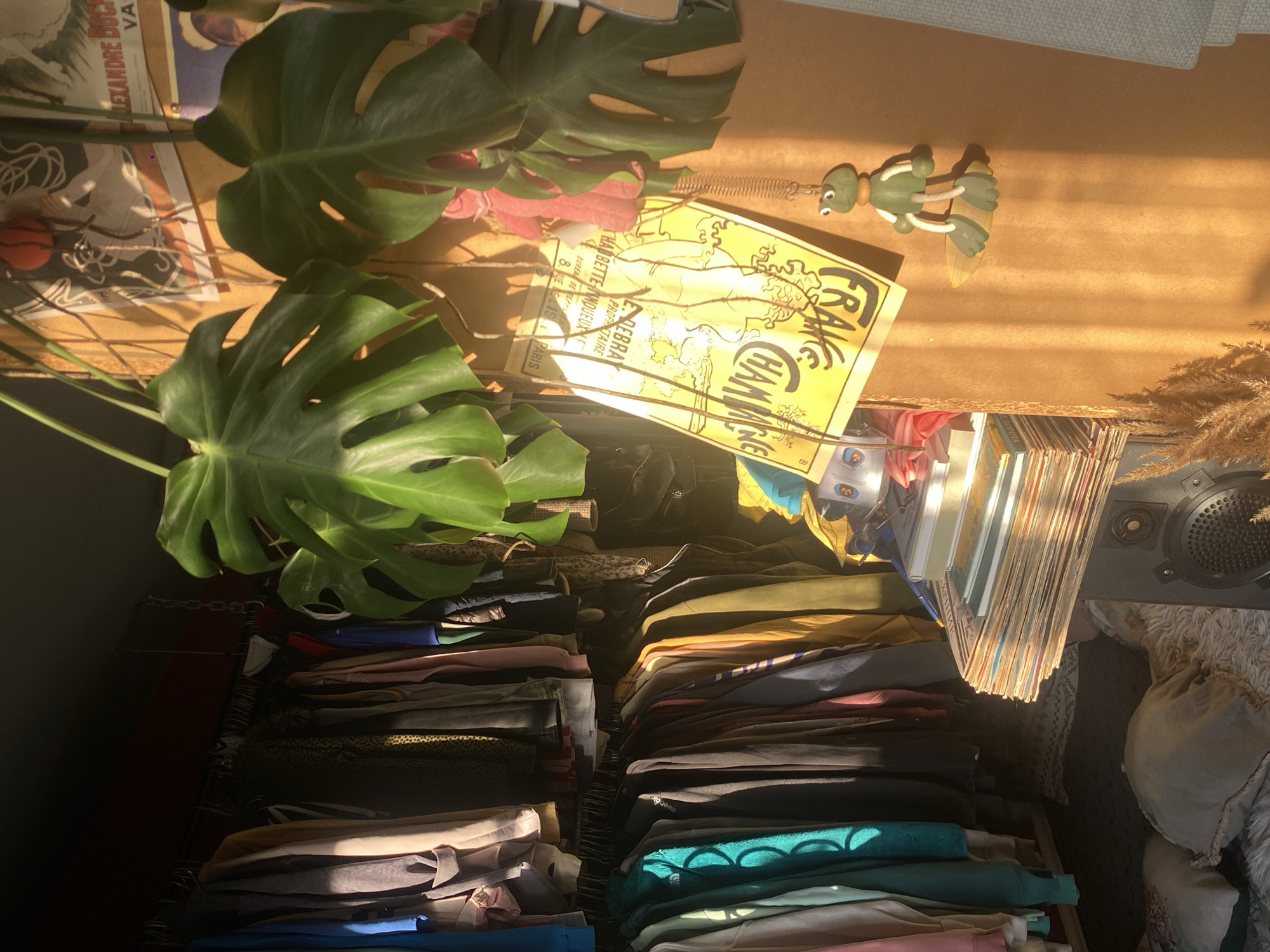 The image is a close-up, slightly rotated counter-clockwise, showing a cluttered interior space. A large Monstera plant with vibrant green leaves dominates the upper left quadrant. A yellow poster with the words "FRAKE HAMWRE" is partially visible. A small green wooden frog figure lies near the poster.
Below these items, there's a crowded rack of clothes, displaying a variety of folded garments in various colors and textures. To the right, a stack of records leans against what appears to be a gray speaker. Part of a patterned pillow is visible to the right of the speaker.
The lighting suggests late afternoon sunlight streaming in, creating a warm and contrasting play of light and shadow on the objects.
No evidence suggests the location is Moscow, Russia.