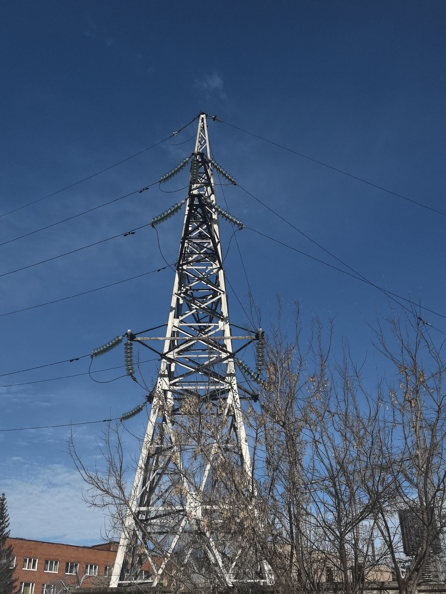 The scene depicts an upward-angled view of a metal lattice transmission tower (pylon) against a clear, bright blue sky with scattered wispy clouds. The tower, painted in a light color, occupies the central vertical axis, exhibiting a geometric framework of interconnected beams. Multiple electrical transmission lines, supported by strings of light-colored disc insulators, extend outwards from the tower's cross-arms. In the lower foreground, numerous bare deciduous tree branches, some retaining dried leaves, partially obscure the base of the tower and the lower horizon. A dark green conifer is visible on the far left, behind the deciduous trees. To the lower-left, a multi-story building constructed of red brick with white-framed windows is partially visible behind vegetation and a fence-like structure topped with what appears to be barbed wire. No individuals or specific actions are discernible. The location is Sarapul, Russia.