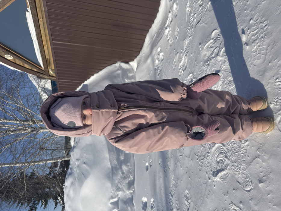 A young child stands in a snow-covered outdoor environment, identified as Устиново, Russia. The child, facing forward, is dressed in a full-body, mauve-pink snowsuit with a hood, a matching knit hat, and pink mittens. Only the child's blue eyes and the bridge of their nose are visible; the mouth and lower face are concealed by the snowsuit's high, snapped collar. The child wears light brown, puffy winter boots. The ground is covered in undisturbed white snow, with some faint footprints visible. Overhead, the sky is clear and blue, indicating bright daylight, and shadows are cast on the snow from the child. In the background, to the left, are snowdrifts and bare deciduous trees, possibly birches, along with a dark green evergreen tree. To the right, a brown corrugated metal fence runs horizontally, partially obscuring a light-colored wooden structure with a triangular attic window.