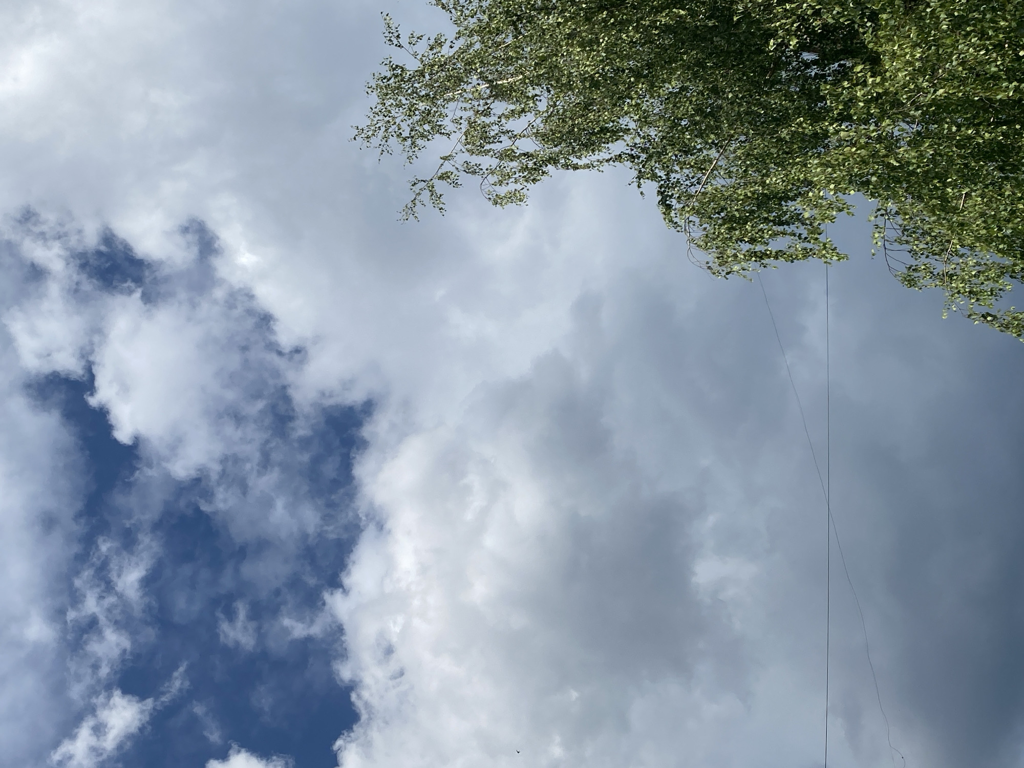 An outdoor, upward-angle shot captures a portion of a bright blue sky with scattered white, fluffy clouds and darker, more ominous clouds. A thin, dark wire stretches horizontally across the frame in the lower-middle section, with another similar wire curving downwards to the left of it. To the right, the branches and lush green leaves of a birch tree are visible, their delicate leaves creating a dappled effect against the sky. The scene appears to be set in an urban environment, possibly a park or residential area, given the presence of the wires. The overall impression is one of a partly cloudy day with a blend of light and shadow.