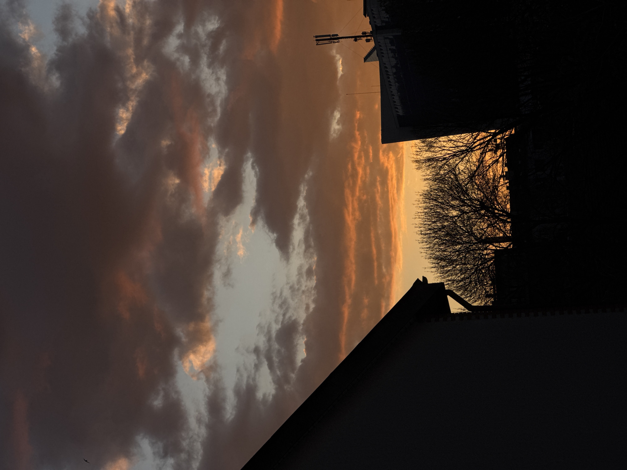 The image depicts a sunset view in an urban area, possibly Sofia, Bulgaria. The sky is filled with striated clouds colored in shades of orange, pink, and gray, indicating a setting sun. Silhouetted against the sky are the outlines of buildings, including a rooftop with a pointed gable, and bare tree branches. There is also a communications tower visible near the top edge of the frame.