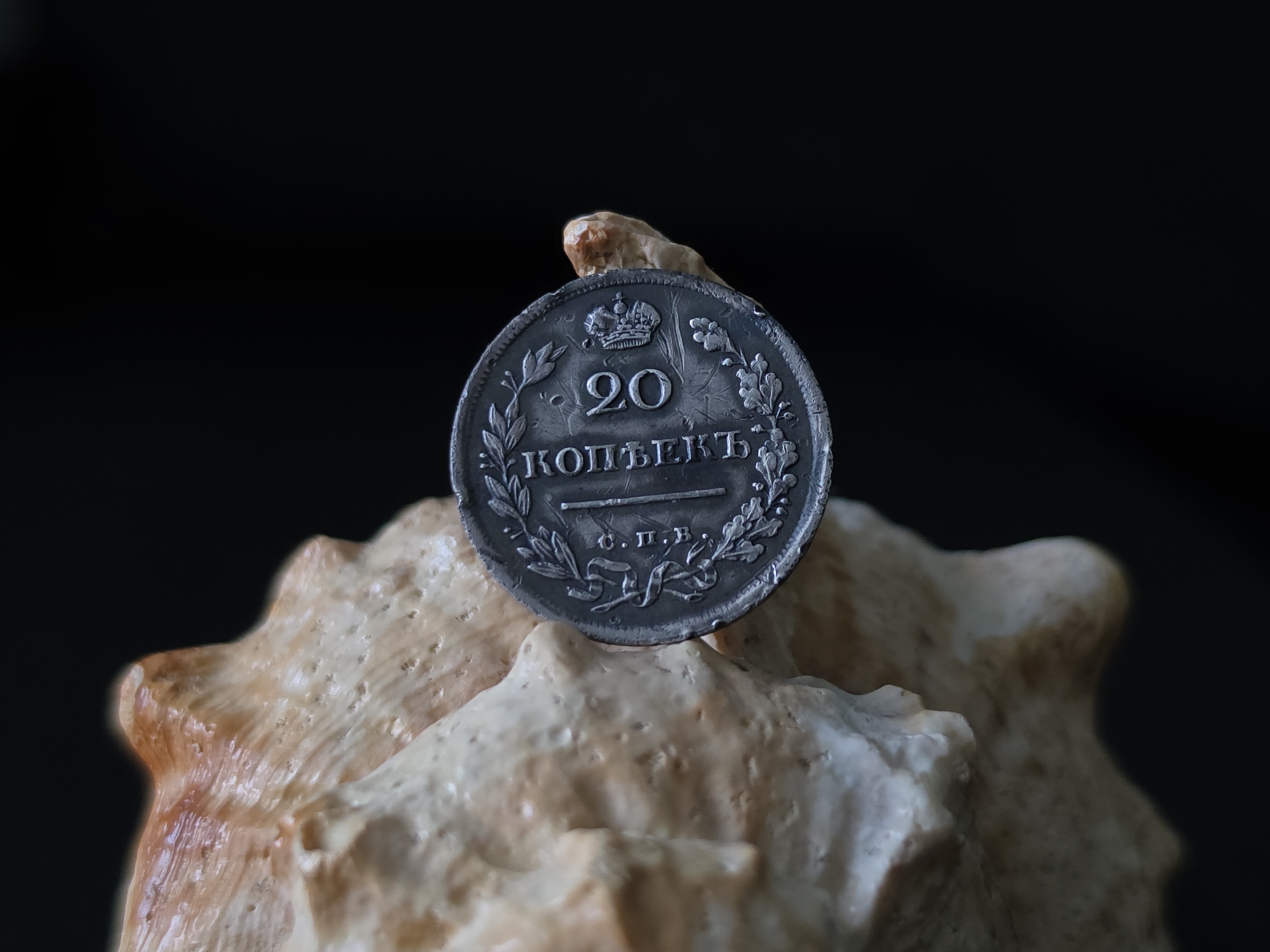 A silver coin, identified as 20 kopecks, rests atop a rough, textured seashell, set against a stark black background. The coin displays a crowned emblem at the top, with the numeral "20" prominently featured. Beneath this, the word "КОПЕКЪ" is inscribed, flanked by laurel branches. A small, light-colored object, possibly a piece of dried plant matter, is perched precariously on the very edge of the coin. The seashell itself has a natural, uneven surface, with variations in color from light tan to a reddish-brown. The lighting highlights the metallic sheen of the coin and the porous texture of the shell. The image is tightly cropped, focusing solely on the coin and the immediate portion of the seashell it rests on. There is no indication of Strelna, Russia, in the provided image.