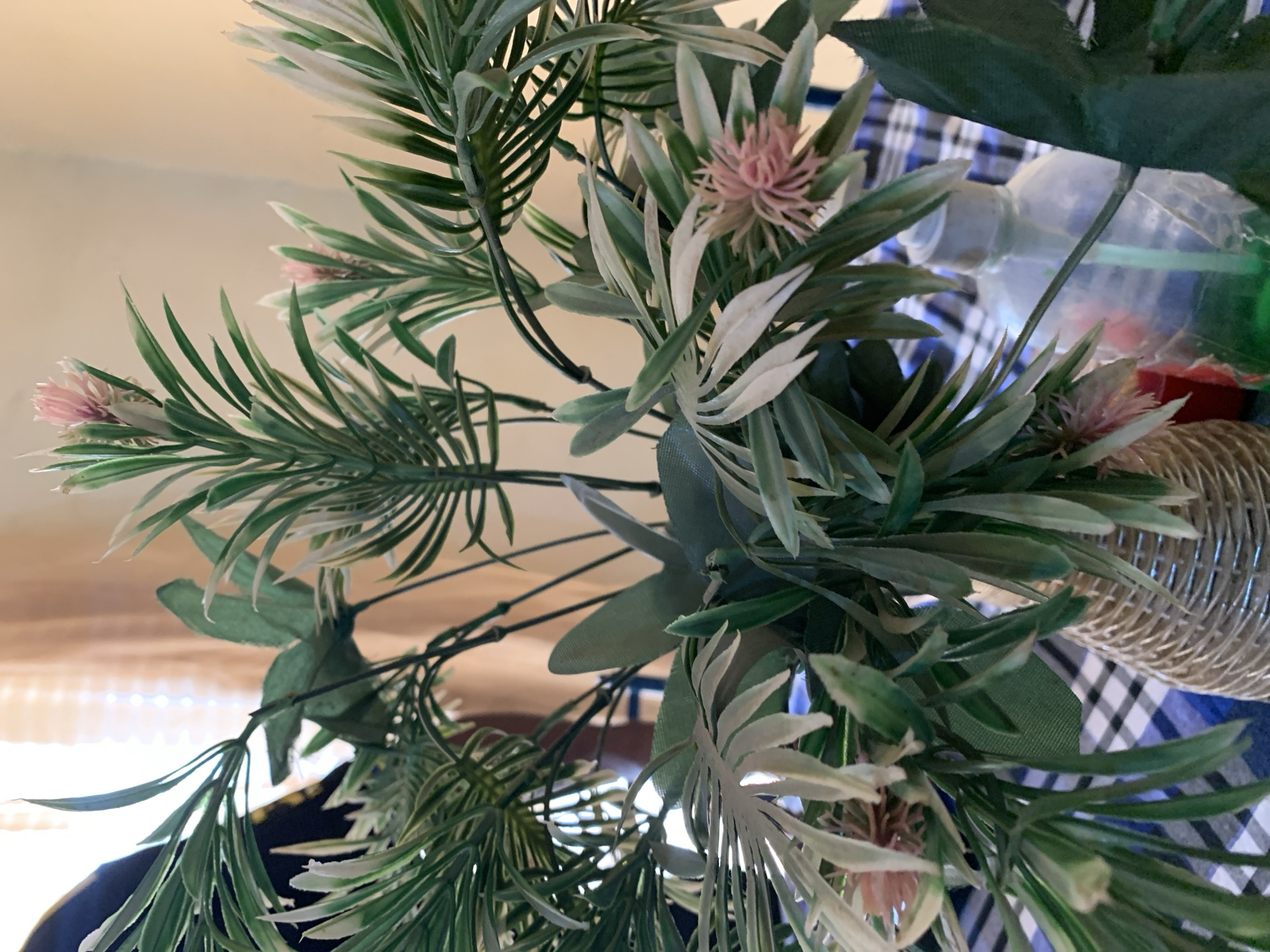 The image displays an indoor still life featuring an artificial plant arrangement in a wicker-style vase, situated in New Stadium, Nigeria. The central subject is a dense cluster of artificial foliage, characterized by long, narrow leaves with a variegated pattern of dark green and light cream or white. Several small, spiky, light pink artificial flowers are interspersed among the leaves. The arrangement is held within a light brown, woven vase with a textured surface, visible at the bottom center of the frame. Beneath the vase, the surface is covered by a blue and white checkered tablecloth. In the background, a light-colored wall or curtain is visible, creating a soft, blurred backdrop. Towards the bottom right, partially obscured by the foliage, a clear plastic pump bottle containing a vibrant green liquid is visible, along with a glimpse of a red object behind it. The lighting is diffused, illuminating the scene from the upper background. No individuals are present, and no actions or interactions are depicted.