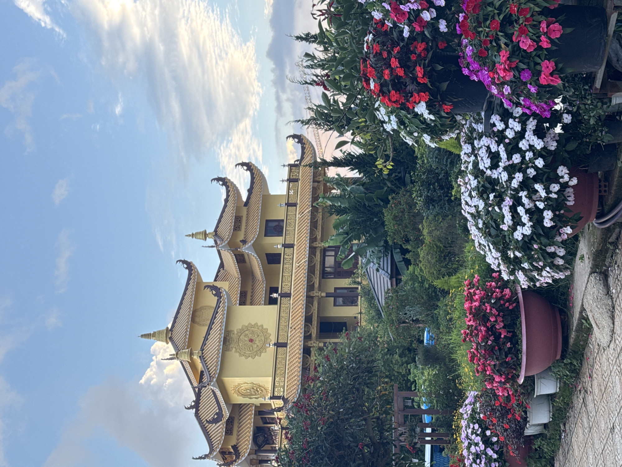 The image shows a Buddhist temple in Da Lat, Vietnam, characterized by its yellow, multi-tiered roof and ornate architectural details. The temple is set against a backdrop of a partly cloudy sky with hues of blue and white, suggesting it is either early morning or late afternoon. In the foreground, a vibrant display of potted flowering plants, including impatiens in shades of red, pink, purple, and white, are arranged along a paved walkway. Lush green foliage and trees surround the temple, creating a serene and picturesque landscape. The overall scene conveys a sense of tranquility and natural beauty, with the traditional Vietnamese architecture harmonizing with the colorful flora.
