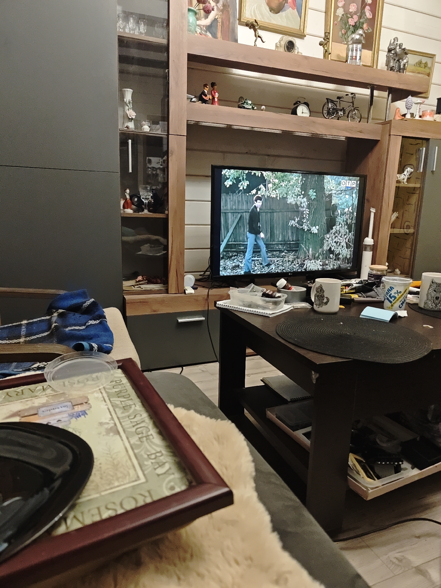 The interior scene shows a portion of a living room. A television is displaying a scene with a man walking along a path with bare trees in the background, an image labeled "OTP" in the top right corner. The TV is positioned within a shelving unit made of wood, with decorative items displayed on the shelves above and to the right. A black, round placemat sits on a dark brown table next to the television, surrounded by mugs, jars, and containers. The table is also stacked with items on the lower shelves. A sofa partially occupies the foreground, with a framed tray placed on it. A blue knitted item lies on the arm of the sofa. No people are visible in the room. The location is Свистуха (кузяевский С/о), Russia.