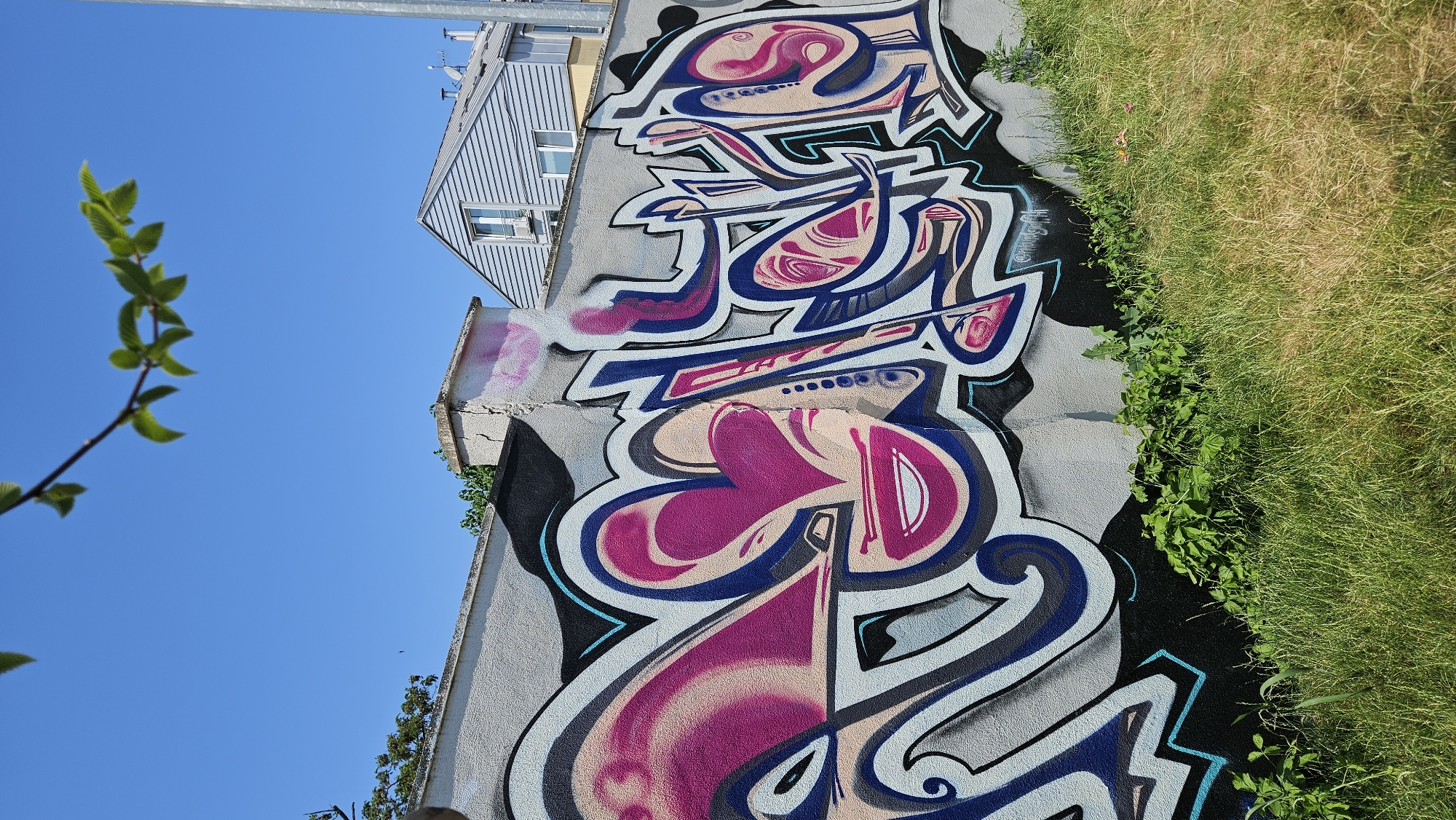 The image depicts a graffiti-covered wall in the city of Prešov, Slovakia. The graffiti features bold lettering in various shades of pink, blue, and black, with intricate designs and shading. The wall is a light gray concrete structure, with some signs of age and wear.
In the foreground, a patch of overgrown green grass and weeds runs along the base of the wall. Behind the wall, a two-story residential building with a light blue, corrugated metal exterior is visible. A section of a chimney or ventilation pipe is also visible on the top of the wall, some of it painted pink. The sky above is a clear, bright blue, with a few green leaves from a tree branch hanging into the upper left corner of the frame. The overall scene suggests an urban environment, likely a back alley or an industrial area, where graffiti art is prevalent.