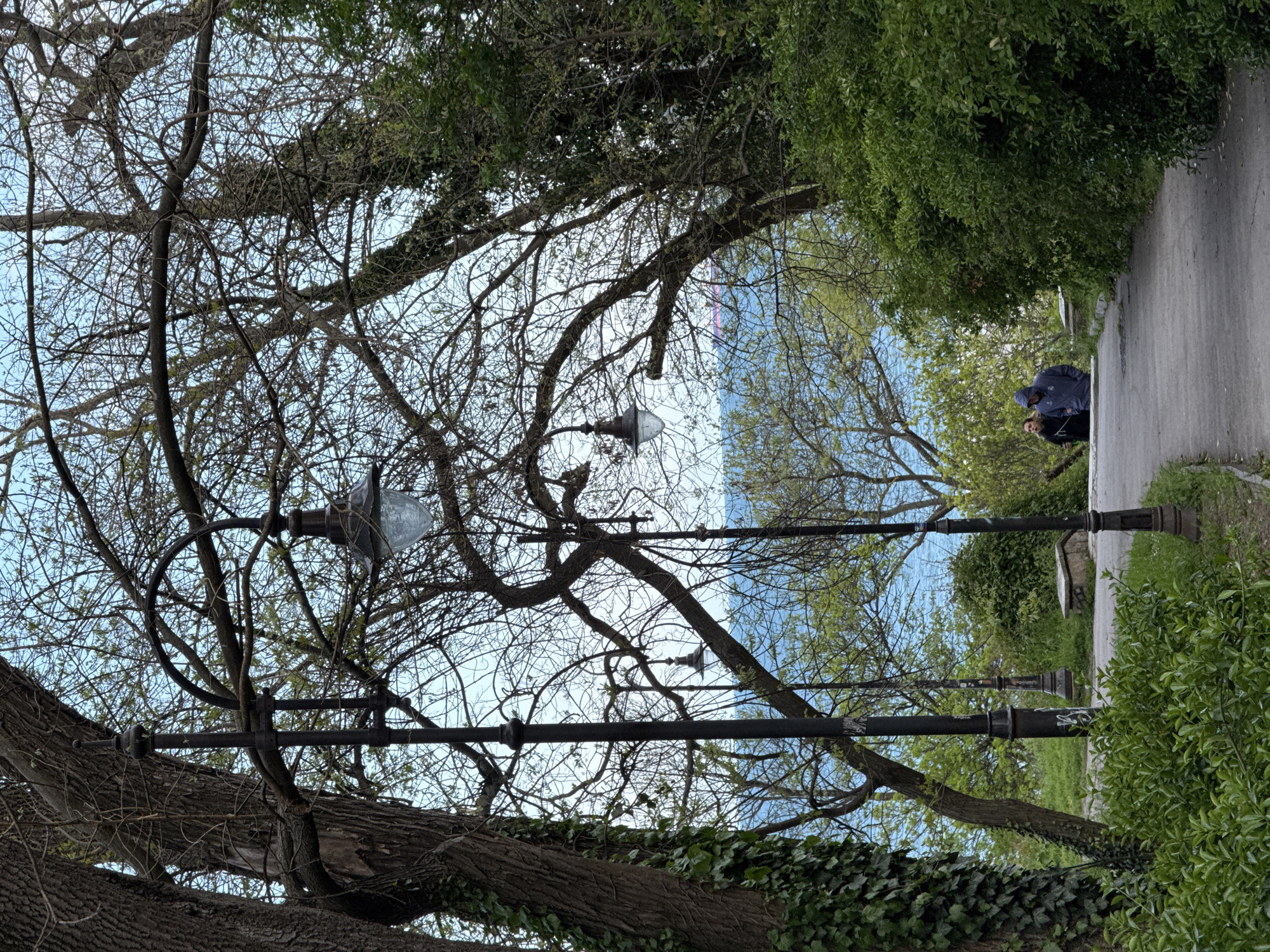 The image shows a paved pathway in Varna, Bulgaria, lined with trees and old-fashioned streetlights. Two people stand on the pathway, with the person on the right wearing a blue jacket with a hood. The trees are bare except for a few budding leaves, and some are covered with ivy. The sky is visible through the tree branches, and a body of water is seen in the distance. The streetlights are black, and their ornate design suggests they are historical features of the area.