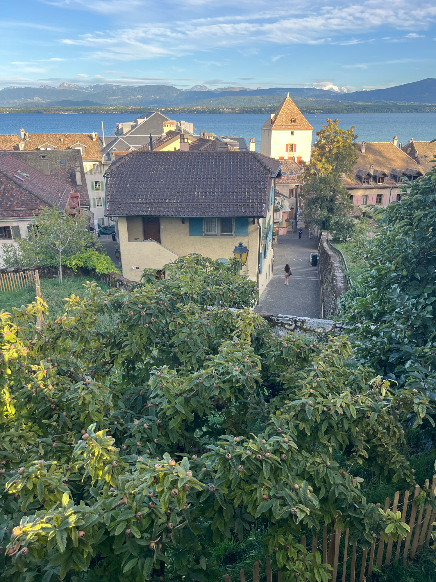 The image depicts a view of Nyon, Switzerland, overlooking Lake Geneva and the distant Alps. In the foreground, a dense foliage of a medlar tree, laden with fruit, partially obscures the view of a street and surrounding buildings. The street is paved and slopes downwards, with a stone wall bordering its right side. Two individuals are visible on the street: one person, wearing a light-colored top and dark shorts, walks away from the viewer, while another, in a dark top and pants, walks away from the street. Buildings with red-tiled roofs and yellow and beige facades line the street, with some windows featuring green shutters. A distinct tower with a red-tiled, conical roof and a white facade stands prominently among the buildings. Beyond the town, the expanse of Lake Geneva stretches towards a mountain range, the Alps, with snow-capped peaks visible against a blue sky dotted with white clouds. The scene is illuminated by natural light, suggesting it was taken during the daytime, likely in the late afternoon given the warm tones on the foliage.