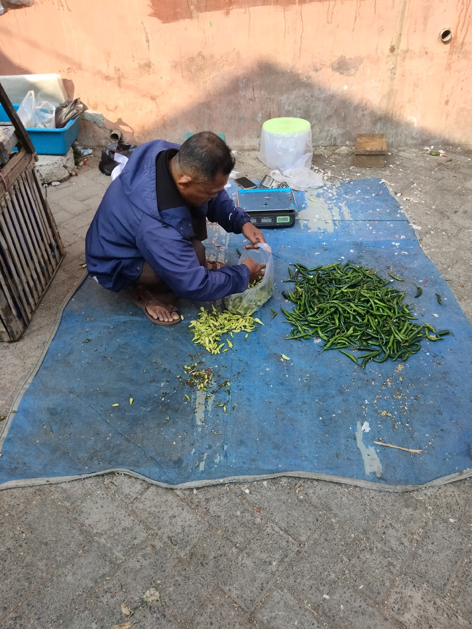 An adult male is crouched on a blue tarp on a paved surface, surrounded by green chili peppers. He is wearing a blue jacket and brown pants. In front of him, there is a pile of green chilies, and he is holding a plastic bag, appearing to be sorting or packaging them. A digital scale is visible to his left. To the left of the man, there is a wooden crate and a blue plastic container with bags. The background consists of a textured, orange-hued wall. The scene appears to be outdoors, possibly a street market in Sawahan, Indonesia, given the context provided.