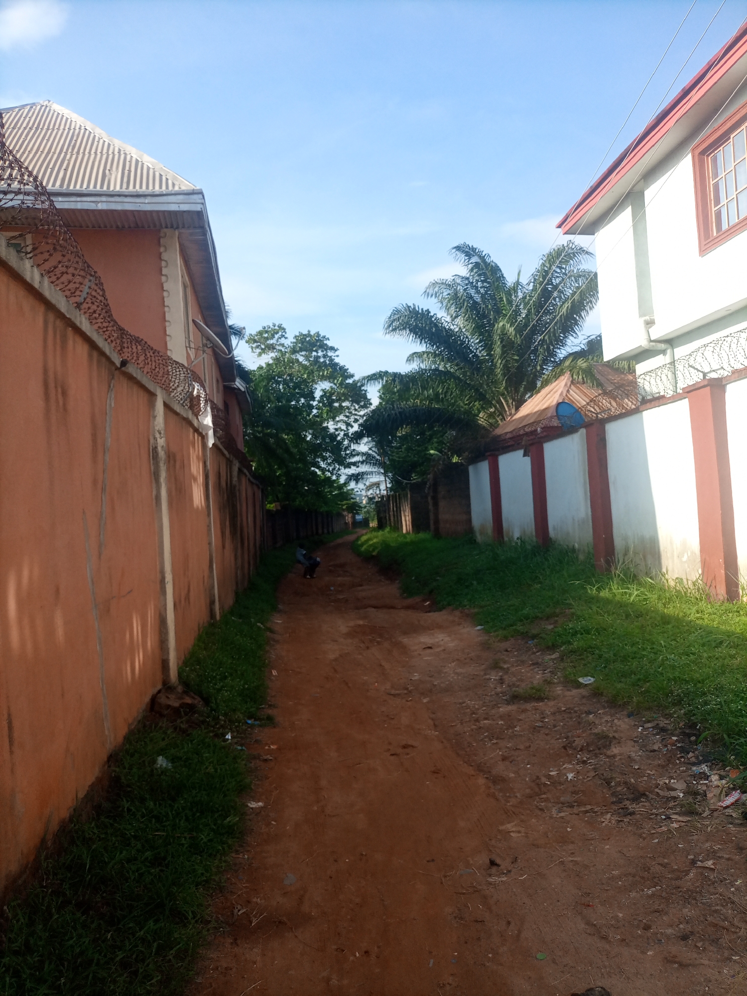 The image depicts a dirt road in Nkpor, Nigeria, lined by a tall, orange wall on the left and a white and red walled property on the right. Both properties are topped with barbed wire, suggesting a secure or private area. Lush green grass grows along the sides of the road and the base of the walls. In the distance, a person is visible crouching by the side of the road. Palm trees and other foliage are scattered throughout the scene, indicating a tropical or sub-tropical environment. The sky is clear and blue with a few wispy clouds, suggesting it is daytime, likely morning or afternoon due to the quality of light. The overall impression is one of a semi-urban or rural setting in Nigeria, characterized by its unpaved roads and residential fencing. There is no visible text in the image.