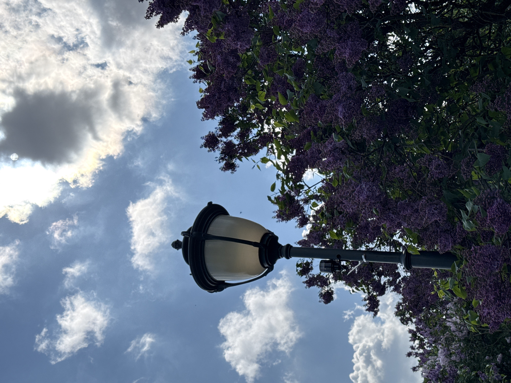 A low-angle shot shows a Moscow street lamp in front of a blue sky with cumulus clouds. Purple lilacs frame the upper-right side of the shot.