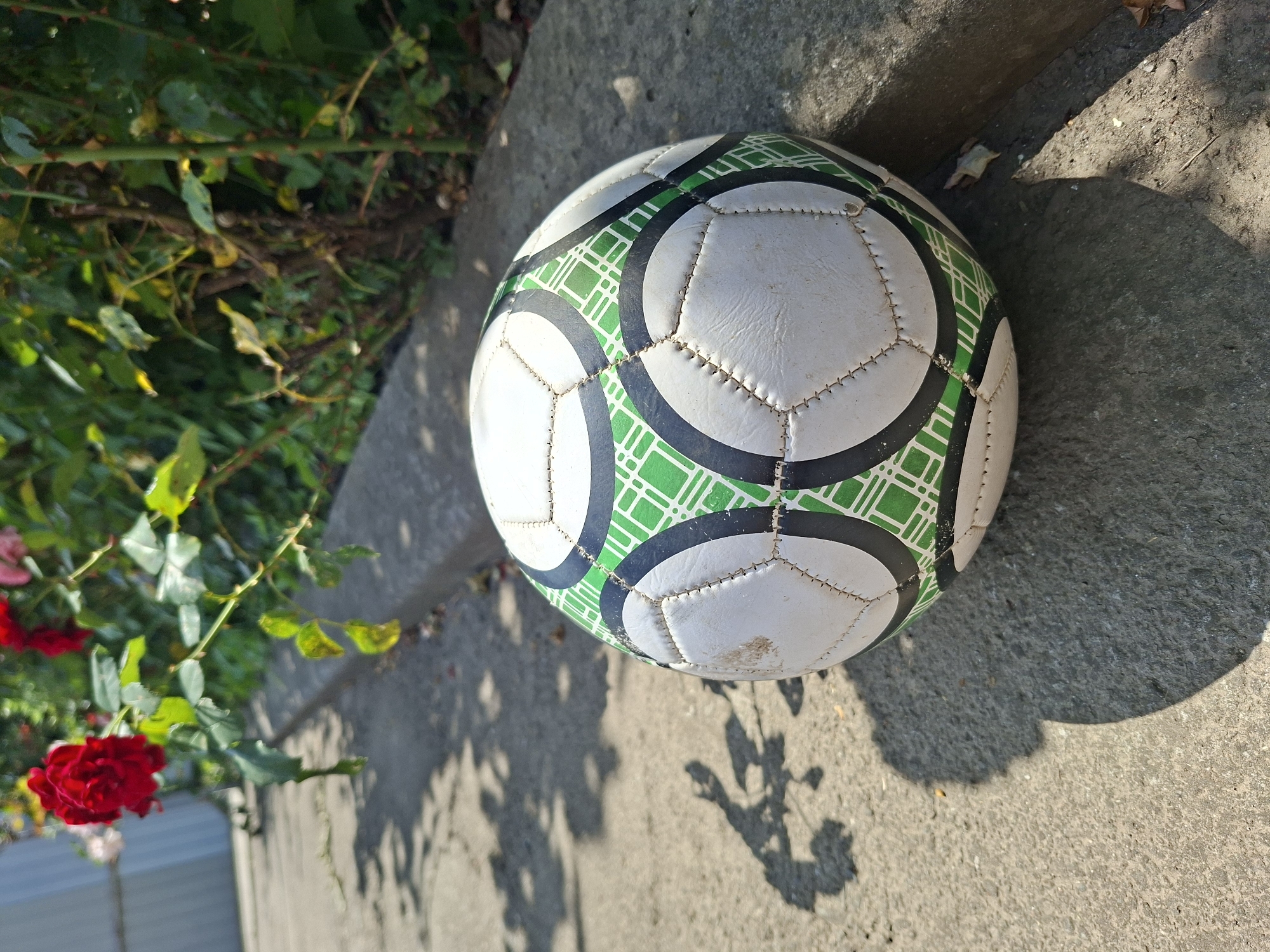A white soccer ball with green and black geometric patterns rests on a concrete curb. The ball is positioned in the foreground, slightly to the right of center. In the background, a rose bush with red roses and green leaves is visible. The scene appears to be outdoors, with shadows cast on the concrete surface, suggesting a sunny day. The location is the city of Gorkovskiy, Russia. There are no people or animals present in the image.