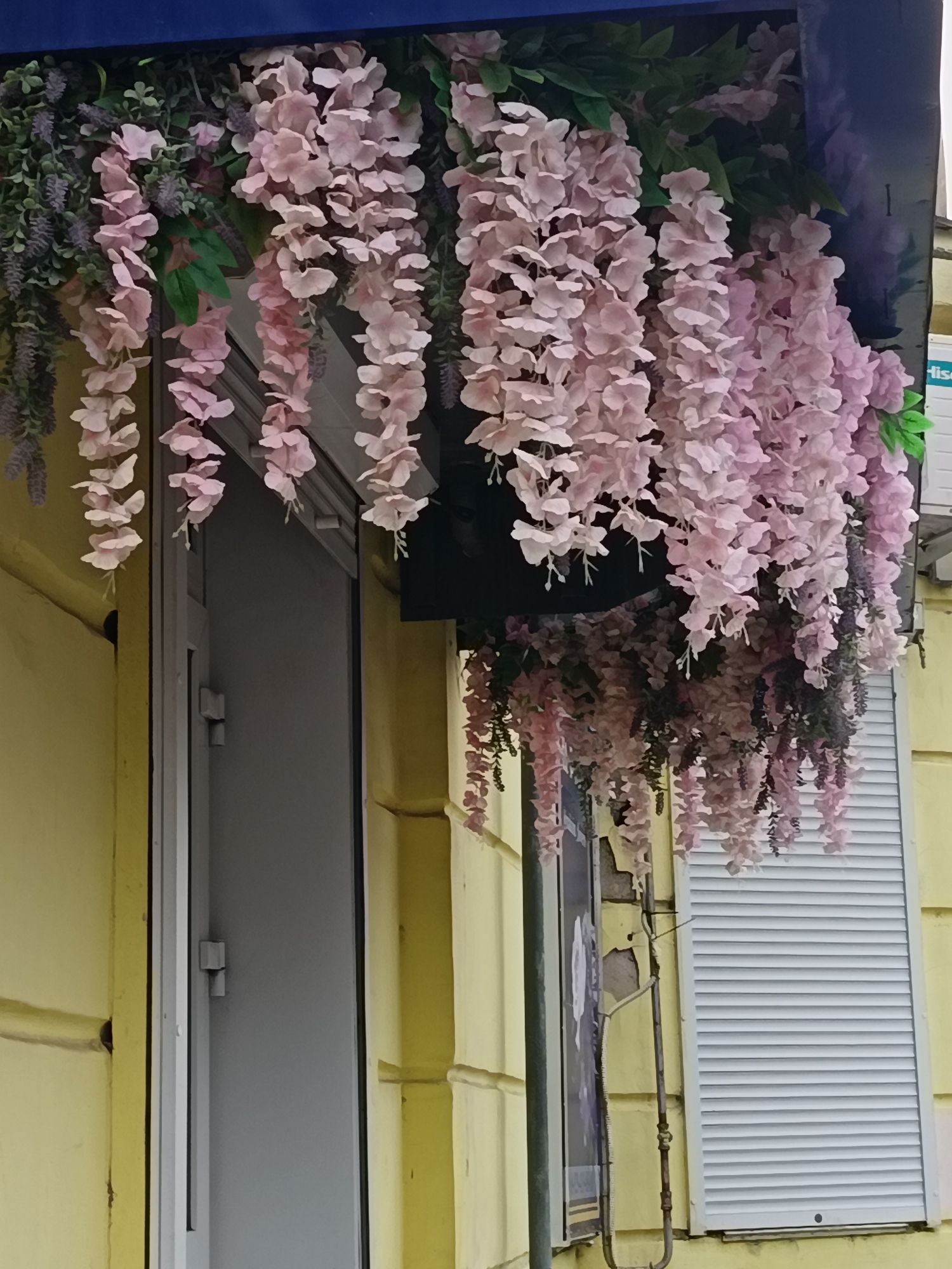 This image depicts an exterior view of a building in Komsomolsk-on-Amur, Russia. In the foreground, artificial pink wisteria flowers cascade down, partially obscuring a grey door on the left and a window with white shutters on the right. The building's facade is painted a pale yellow. The scene appears to be a street-level view. There are no people visible in the image.