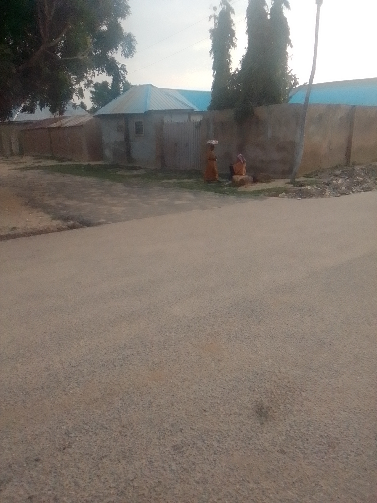 In the city of Gombe, Nigeria, a scene unfolds at the edge of an asphalt road. Two individuals, likely women, are situated in front of a low, concrete wall. One woman, dressed in orange, stands with a basket of goods balanced on her head, suggesting she is a vendor. The other woman is seated on the ground, appearing to be engaged in an activity that could be related to selling or preparing goods. Behind them, a building with a metallic blue roof and a beige concrete wall stands, with a glimpse of a small window. Tall, dark green trees with dense foliage rise behind the wall, creating a stark contrast with the muted tones of the structures. The sky above is overcast and bright, hinting at either early morning or late afternoon. The overall impression is one of daily life continuing in a semi-urban environment.