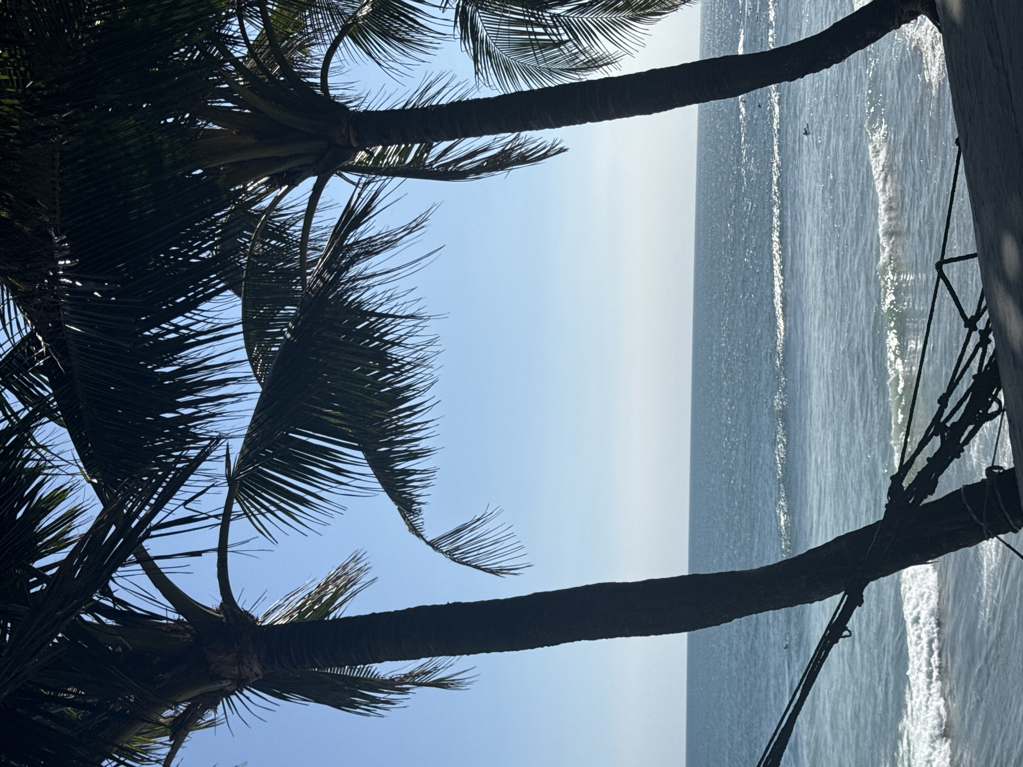 The image shows a coastal scene, likely taken in North Kuta, Indonesia, based on the presence of palm trees and ocean. The perspective is looking upwards through the silhouettes of palm trees towards the ocean and sky. The sky is a clear blue with a slight haze near the horizon. The ocean is visible between the palm trees and to the right, showing gentle waves. A wooden structure with ropes is visible on the right side of the frame.