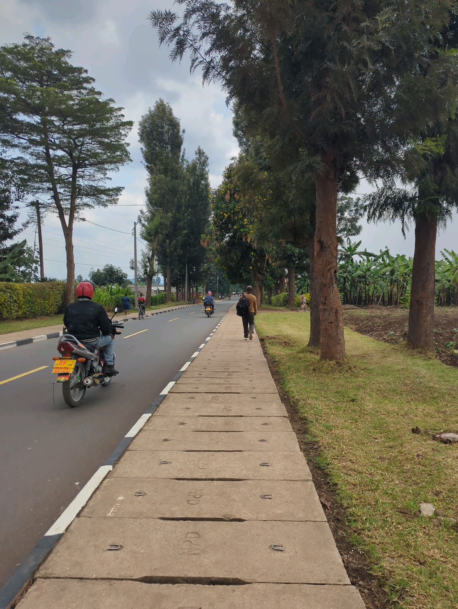 The image depicts a street scene in Musanze District, Rwanda, characterized by a paved road bordered by a concrete sidewalk and grassy areas. Several individuals are visible. In the foreground, a person wearing a red helmet and a dark jacket is riding a motorcycle on the left side of the road, heading away from the camera. Their motorcycle has a yellow license plate with red and green accents. Further down the road, another individual is walking on the sidewalk, carrying a black backpack over their right shoulder. In the distance, several other motorcycles and people are present on the road and sidewalk.
The environment features lush green trees lining both sides of the street, with a dense cluster of banana trees visible on the right side of the road. The sky is overcast with clouds. The sidewalk is constructed from rectangular concrete slabs with visible metal U-shaped fixtures embedded in them. The road has a yellow dividing line and white and black edge lines. The overall impression is a moderately populated street in a semi-urban or rural setting.