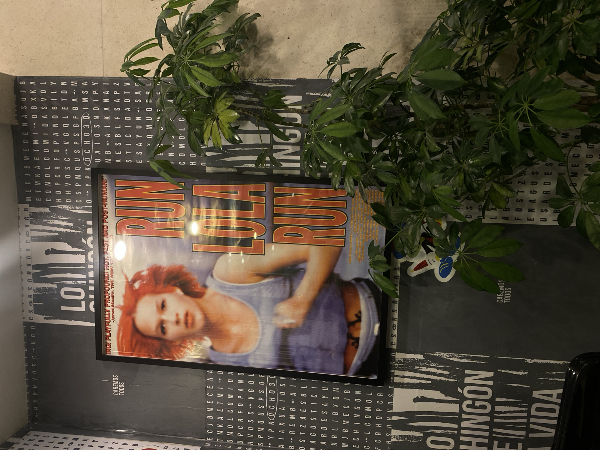 The image captures a framed "Run Lola Run" movie poster leaning against a textured wall. The wall features a repeating pattern resembling a word search, with text like "MECJBMECENA" and "HINGÓN". A plant with multiple green leaves partially obscures the poster and the wall behind it. The overall scene appears to be indoors, potentially in an urban location with posters and plants as part of the decor. The poster and word search are both tilted at an angle, as if resting against the wall rather than being mounted.