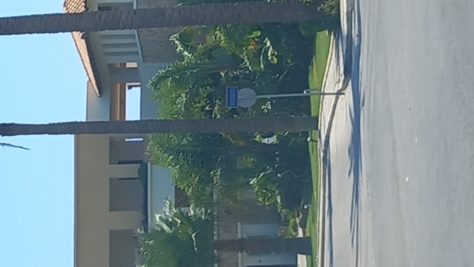 A street sign is visible in front of a building complex with lush vegetation and palm trees in Kos, Greece. The sign has a blue background with white lettering, but the text is illegible. The building appears to be a modern structure with beige walls and a tiled roof. The surrounding area is green and well-maintained, suggesting a residential or commercial district. The sky is clear and blue, indicating a sunny day. The image is taken from a slightly elevated angle, possibly from a vehicle.