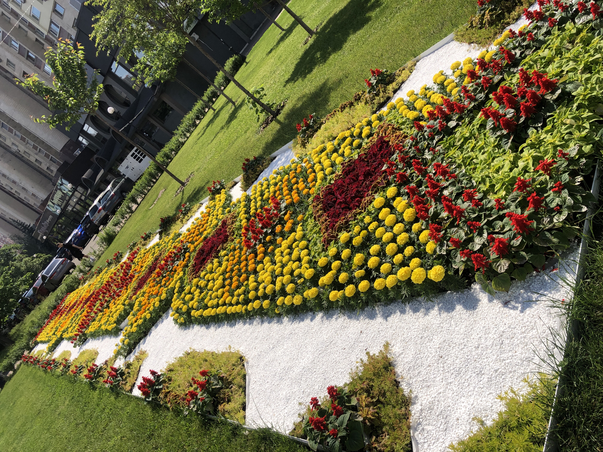 The image depicts a flower bed in Kyiv, Ukraine. The flower bed is rectangular and consists of yellow, orange, and red flowers arranged in a pattern. The flowers are bordered by a layer of white gravel. The flower bed is located on a grassy lawn with trees in the background. A building and parked cars can be seen in the distance.