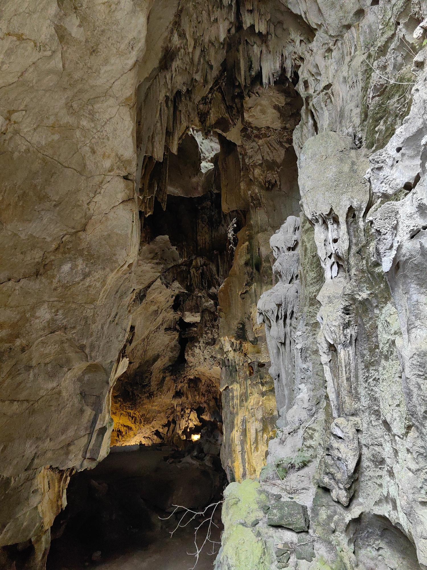 The image depicts the interior of a cave located in Lạng Sơn, Vietnam. The cave's walls are composed of limestone formations, featuring stalactites and stalagmites. The lighting is dim, with some artificial illumination highlighting specific areas. Moss and vegetation grow on some of the rock surfaces. A bare branch is visible in the foreground. No people or animals are visible in the image.