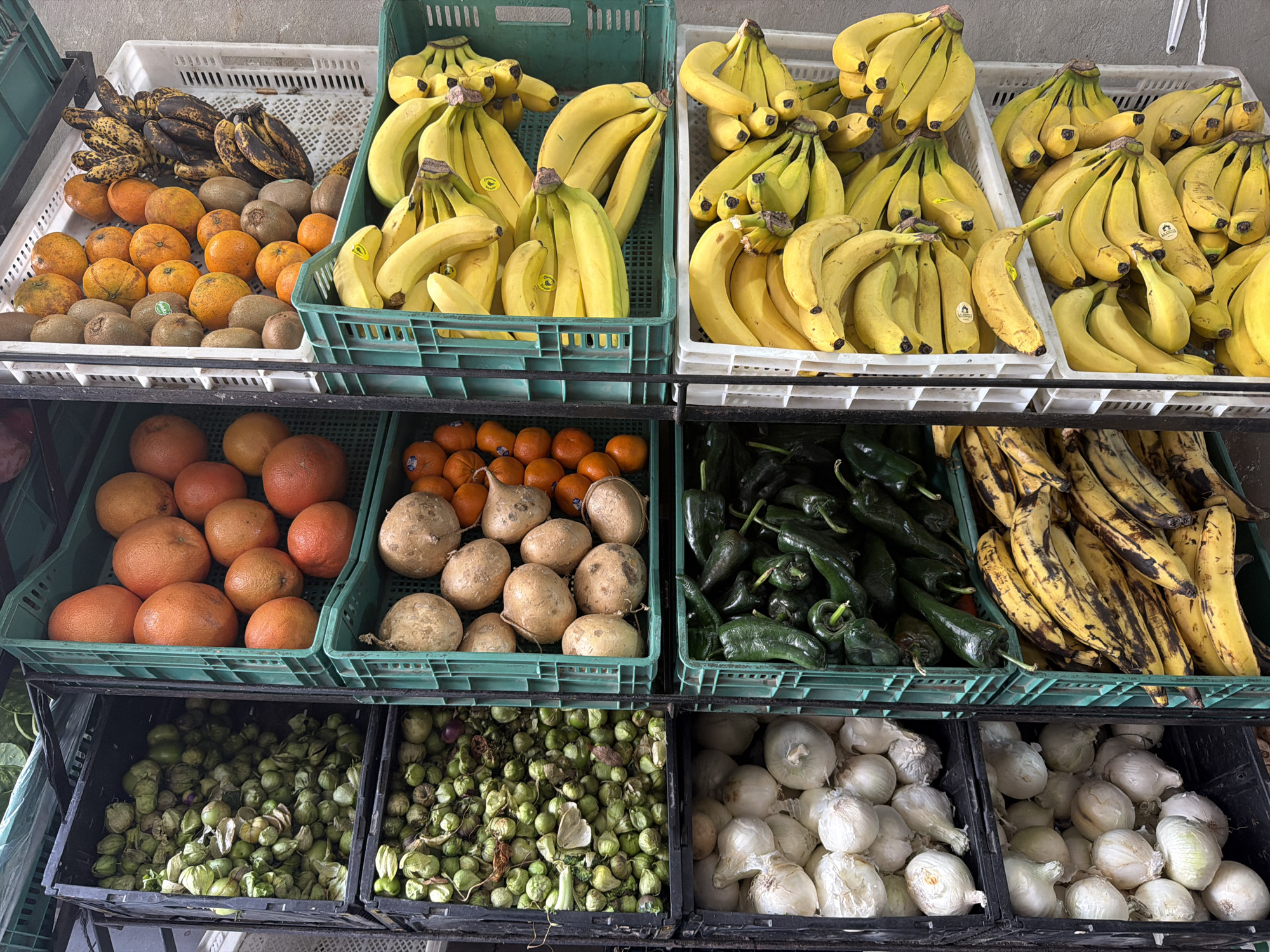 The image shows a produce display rack in Unknown, Unknown. The rack contains three shelves of various fruits and vegetables. The top shelf, from left to right, holds overripe bananas, oranges and kiwis, and three containers of yellow bananas. The middle shelf contains grapefruit, jicama, poblano peppers, and yellow plantains. The bottom shelf contains tomatillos, and onions.