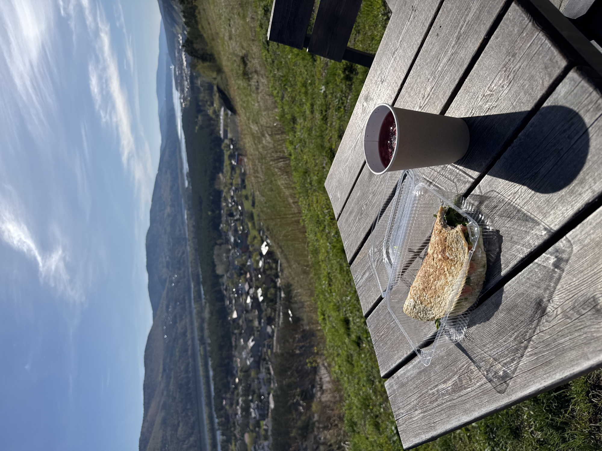 The image shows a picnic table on a hillside overlooking Krasnoyarsk, Russia. A drink in a paper cup and a sandwich in a plastic container sit on the wooden table. The picnic table is surrounded by grass. In the background is a panorama of the city, with the Yenisey River and surrounding mountains visible under a partly cloudy sky.