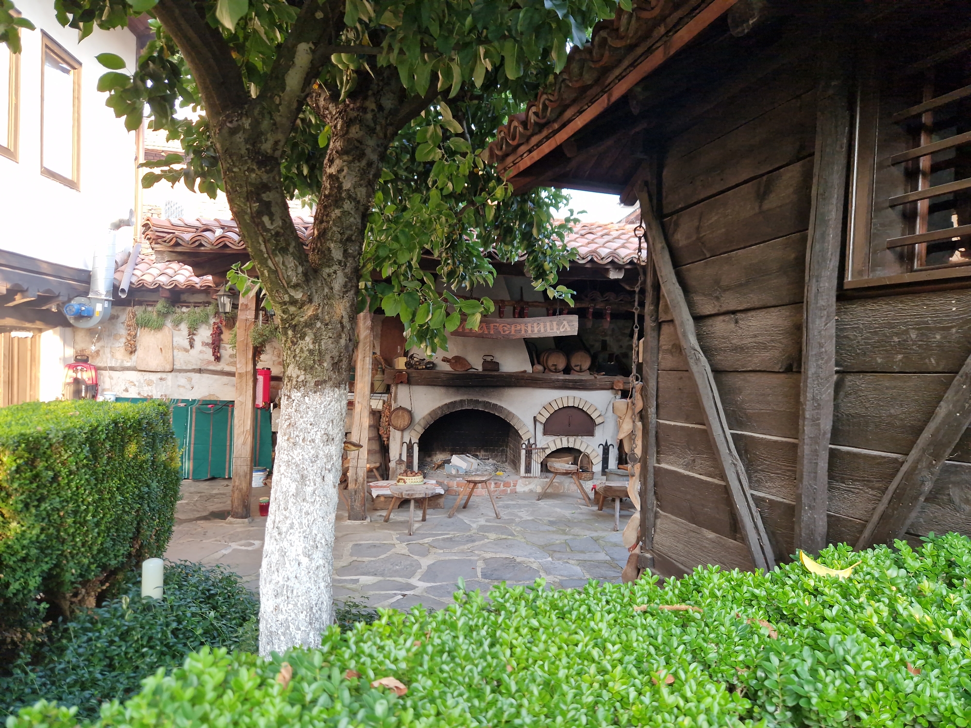 The image shows a rustic outdoor courtyard in Panagyurishte, Bulgaria. In the foreground, a thick, manicured green hedge borders the lower edge of the frame. To the right of the hedge, a mature tree with a white-painted trunk stands tall, its green leaves providing shade.
Behind the hedge and tree, the courtyard features stone paving. A traditional oven and fireplace structure is the central focus of the background, with arched openings and a brick hearth. Various items are displayed around the oven, including wooden barrels, dried peppers, and what appear to be cooking implements. Two small wooden tables with simple stools are placed in front of the oven.
To the left of the oven, a white building with brown-trimmed windows is visible. A metal ventilation pipe extends from the building. Further left, a dense green hedge runs along the side of the courtyard. To the right of the oven, a weathered wooden structure, possibly a shed or part of a building, dominates the right side of the image, with horizontal wooden planks and diagonal supports. The overall impression is one of a historical or traditional setting, likely an outdoor seating area or a demonstration space for traditional cooking.