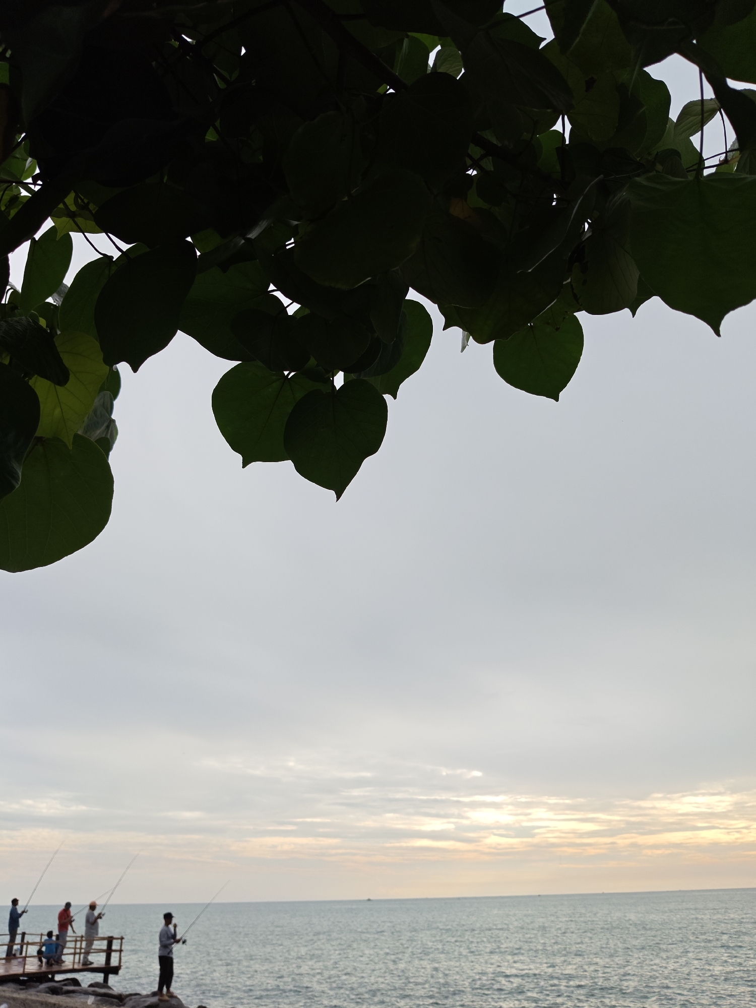 A group of five individuals is fishing from a pier on a rocky shoreline. The sky is overcast with a pale yellow hue near the horizon, indicating either sunrise or sunset. The sea is calm, with gentle waves lapping against the shore. Large, dark green leaves frame the top of the image, suggesting the presence of a tree overlooking the scene. The location is identified as Lhokseumawe, Indonesia, a coastal city known for its natural beauty and abundant fishing opportunities.