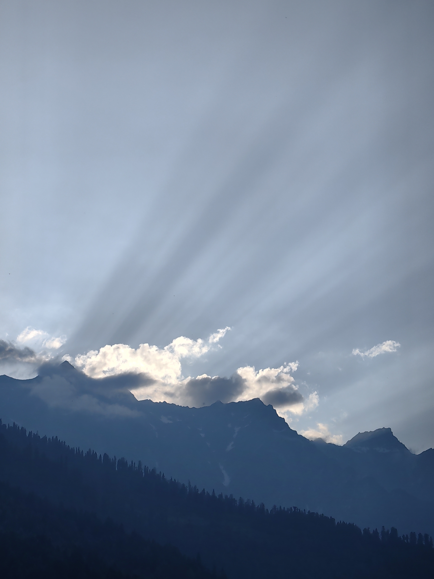 The image depicts a mountain landscape in Vashisht, India, under a sky filled with dramatic sunbeams. The sun's rays pierce through the clouds, casting long, ethereal shadows across the sky. In the foreground, the silhouetted forms of mountains rise, their peaks partially obscured by clouds and shadows. A dense forest of trees covers the lower slopes of the mountains, appearing as a dark, textured layer against the lighter sky. The overall impression is one of natural beauty and the majestic power of light and shadow in a mountainous environment.