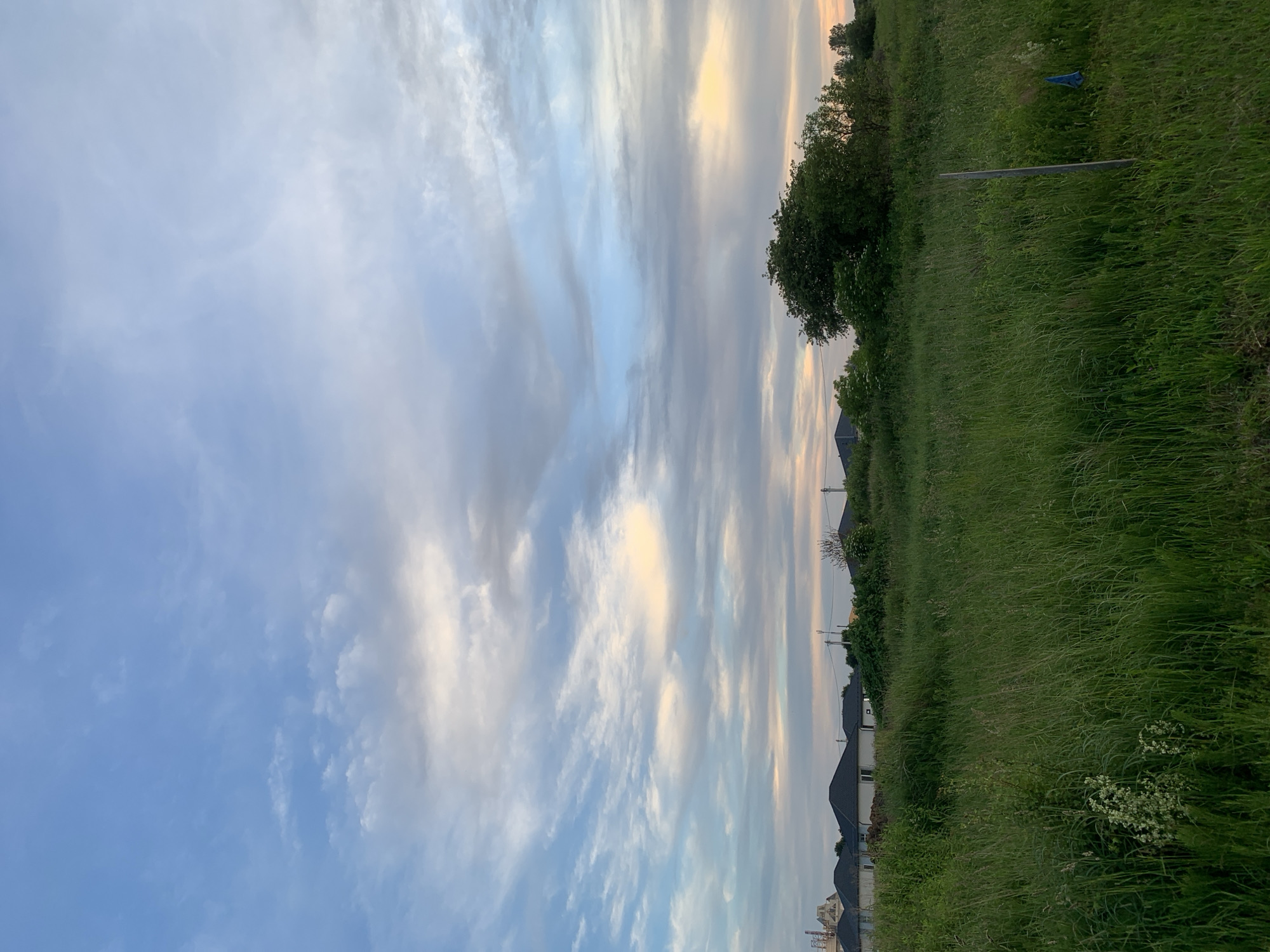 The media file depicts an outdoor scene, likely a rural or suburban landscape in Gvardeysk, Russia. The image is oriented vertically, with the sky occupying the left portion and the ground, featuring a grassy field and some houses, on the right.
The sky is filled with a mix of clouds, displaying hues of blue, white, and hints of yellow, suggesting it might be either sunrise or sunset. Thin, wispy clouds are spread across the vast expanse, creating a textured and dynamic sky.
The right side of the image shows a lush green field of tall grass, with some smaller white flowers visible in the foreground. A line of houses with dark roofs are partially visible along the horizon, interspersed with trees and some vegetation. A single, slender pole, possibly a fence post or marker, stands vertically in the field. A small blue object, perhaps a piece of plastic or fabric, is also visible on the ground in the grassy area.
The overall impression is one of a peaceful, natural setting during a transitional period of the day. There is no activity or event clearly taking place, and no text is visible in the image. The soft lighting and the blend of sky and landscape create a serene mood.