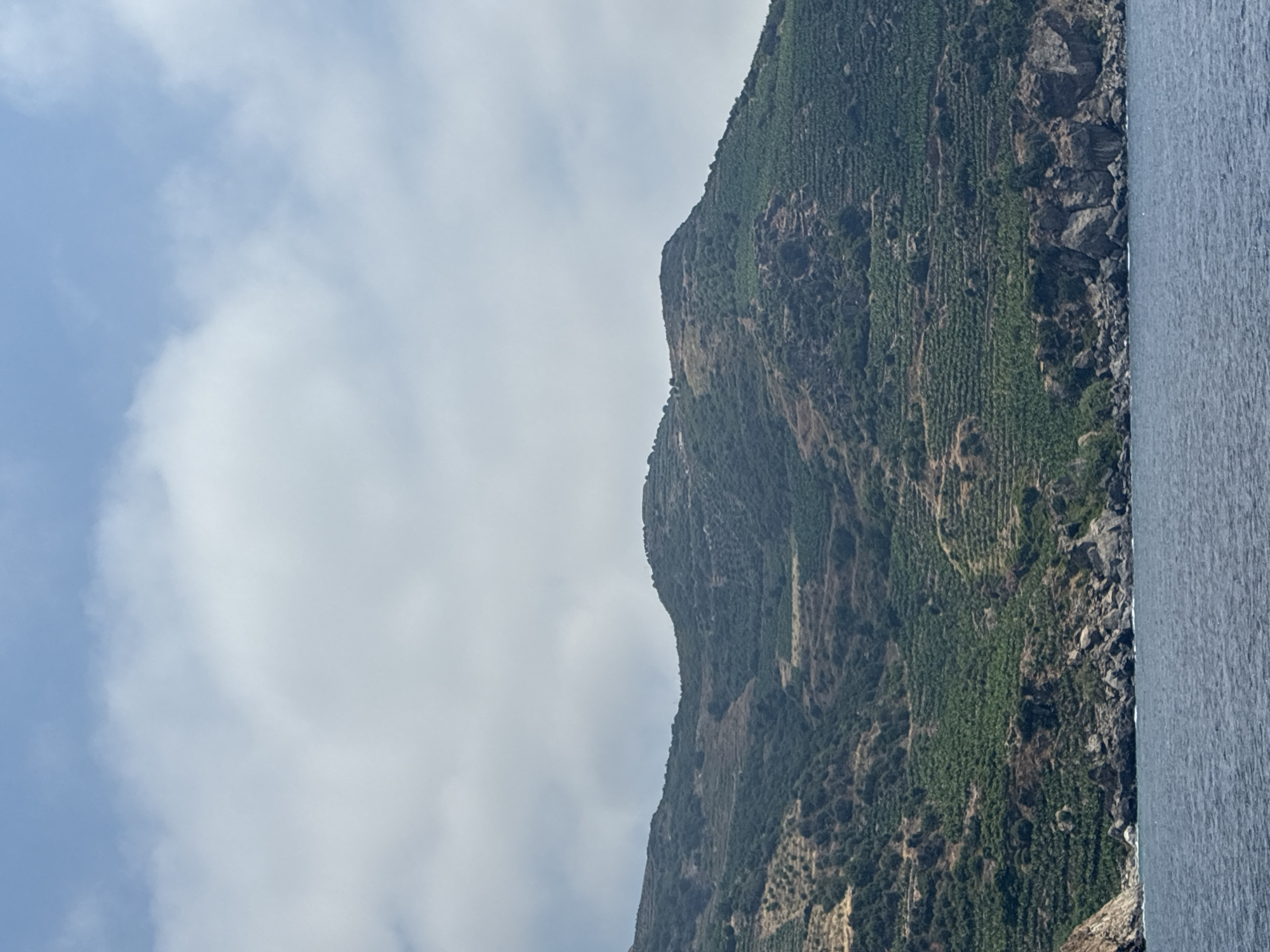 A vertical, medium shot captures a lush green mountainside, terraced with what appear to be agricultural crops, cascading down towards the choppy, deep blue Mediterranean Sea. The mountain, a dominant feature, is covered in dense foliage and rocky outcrops. A narrow, rocky shoreline separates the mountain from the sea, with waves gently lapping against it. The sky above is a pale blue, dotted with scattered white clouds. The image, taken from a boat or coastal vantage point, showcases the natural beauty of the area. The scene is devoid of any human presence or activity, emphasizing the serene and untouched landscape. The location is the coast of Gazipaşa, Turkey.