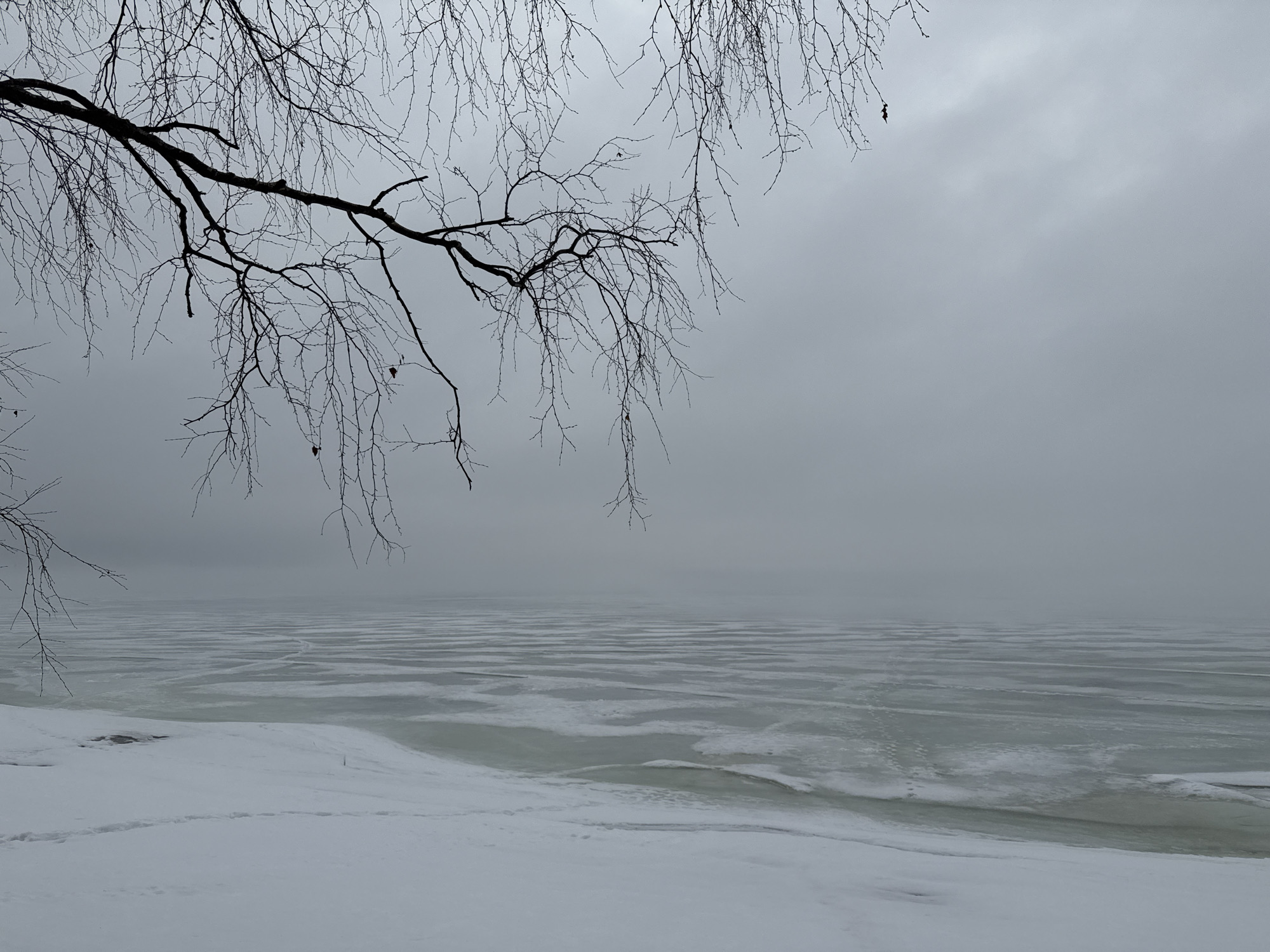 The image shows a winter scene in what appears to be Chaikovsky, Russia. In the foreground, there's snow-covered ground, presumably a shoreline. Footprints are visible in the snow. Beyond the shoreline, there's a body of water covered in ice, with cracks and patterns visible in the ice surface. The water fades into the distance due to fog or mist. The sky is overcast and gray, contributing to the overall bleak atmosphere. In the upper left corner and top of the frame, there are bare tree branches, typical of winter. The lack of distinct landmarks makes it challenging to pinpoint the exact location within Chaikovsky. There are no visible people or animals.