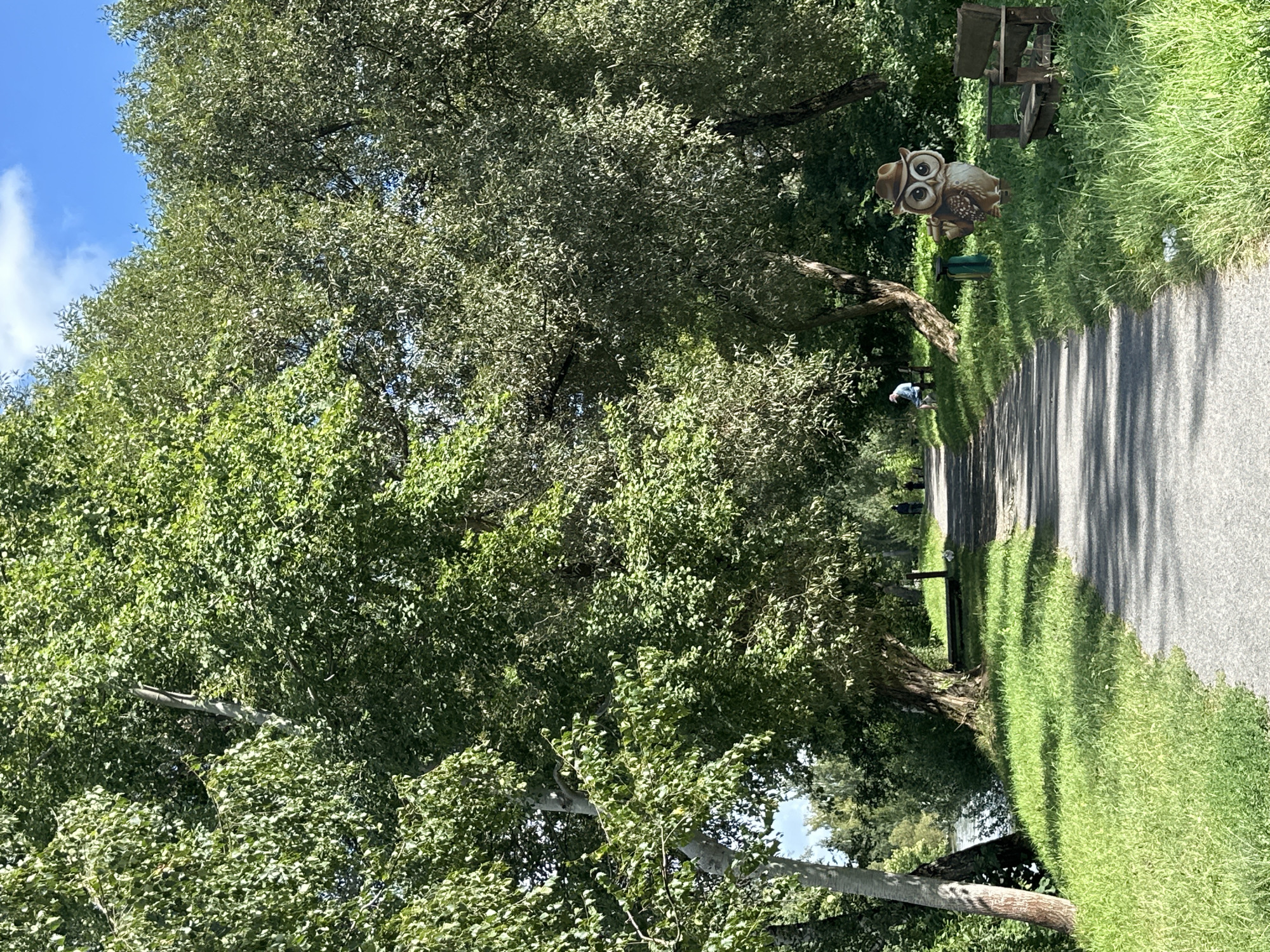 The image depicts a paved pathway in a park-like setting, likely in Minsk, Belarus, bordered by lush green grass and mature trees. The pathway curves gently, leading the viewer into the distance where two figures are visible walking. Sunlight filters through the dense foliage, casting dappled shadows on the path. To the right of the path, a whimsical cutout of an owl wearing a cowboy hat stands near a wooden bench and a trash receptacle. The owl cutout is a notable decorative element. The environment suggests a public park or recreational area, with a body of water, possibly a river or lake, visible to the left of the pathway, further enhancing the natural ambiance. The sky above is partly cloudy with a clear blue expanse.