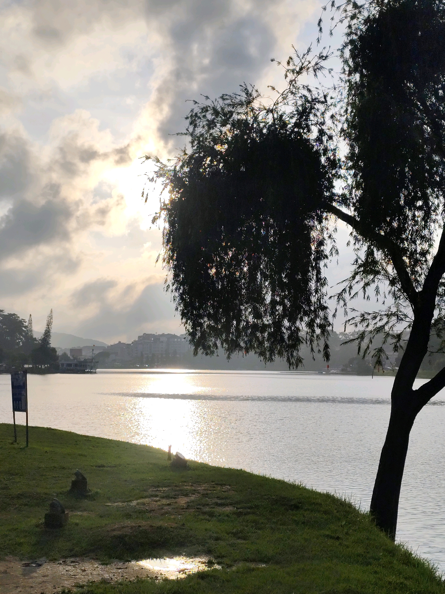 The image depicts a serene lakeside scene in Da Lat, Vietnam, likely Xuan Huong Lake, known for its picturesque setting. In the foreground, a grassy incline slopes down towards the water. A large tree with drooping branches dominates the right side of the frame, its dark silhouette contrasting with the bright sky. On the left, a signpost stands near the water's edge, partially obscured by grass. The lake itself is calm, reflecting the soft light of the sun which is partially hidden behind clouds, creating a shimmering effect on the water's surface. In the distance, a city skyline with buildings and trees is visible across the lake, set against a hazy mountainous backdrop. The overall atmosphere is peaceful and tranquil, suggesting early morning or late afternoon light. There are no people or animals visibly present in the scene.