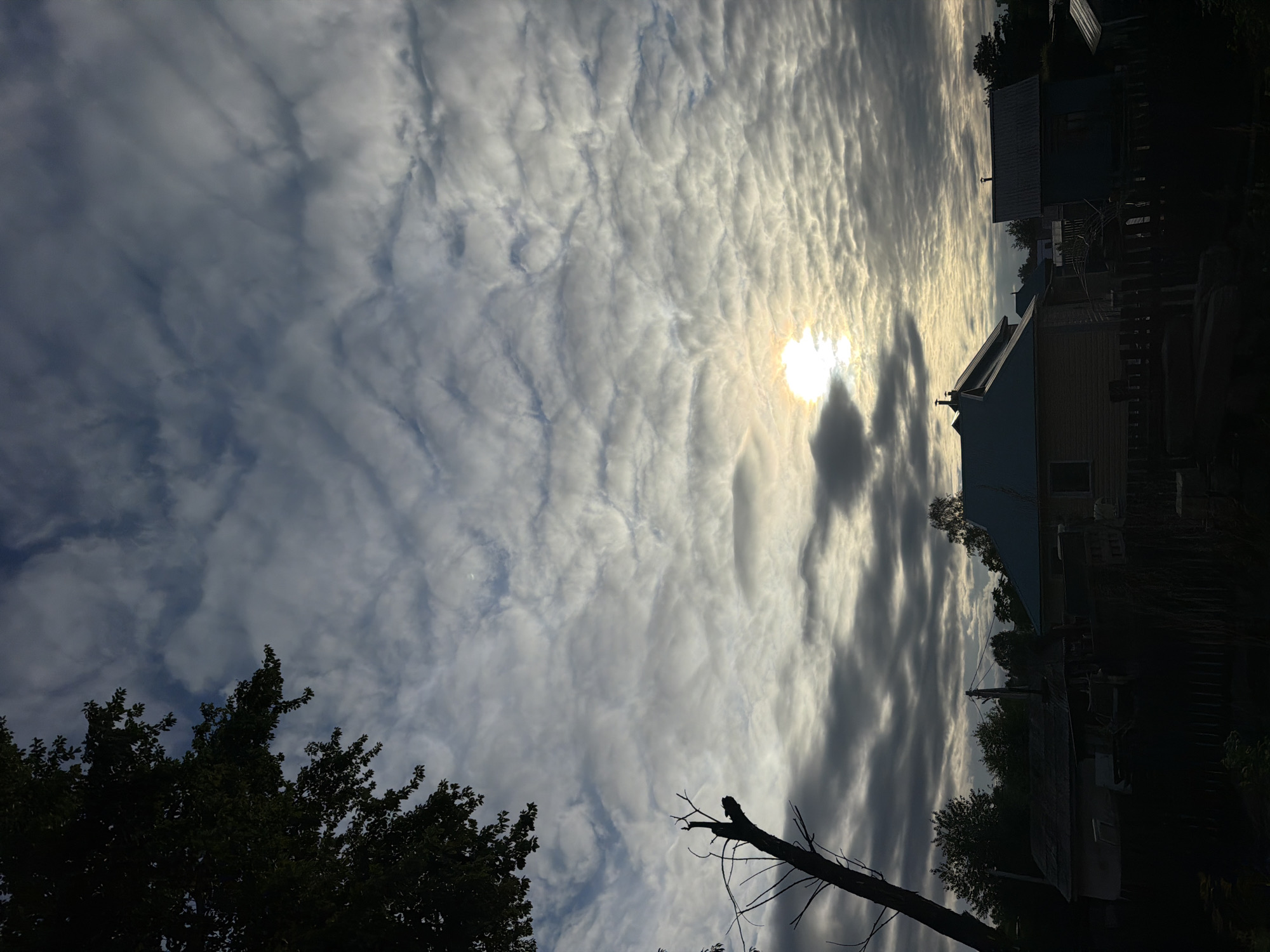 The image captures a rural or suburban residential scene, attributed to Birobidzhan, Russia, under a sky largely covered by altocumulus clouds forming a distinctive ripple pattern. The sun, appearing as a bright, diffuse orb, is visible through a break in the clouds in the lower-right quadrant, backlighting the entire scene. In the foreground, a prominent, leafless tree trunk stands in silhouette on the lower left, exhibiting several broken branches. The upper-left corner displays the dense foliage of a dark, deciduous tree, also silhouetted. The mid-ground features multiple residential structures, primarily in deep shadow. A light-colored house with a blue-grey pitched roof is centrally positioned, with at least one window visible on its side. Adjacent to it on the right is a smaller, darker building with a similar roofline. A utility pole supporting power lines is discernible behind these structures. Indistinct fences and other low-lying objects form dark silhouettes across the immediate foreground. No individuals are present, and no actions are in progress.