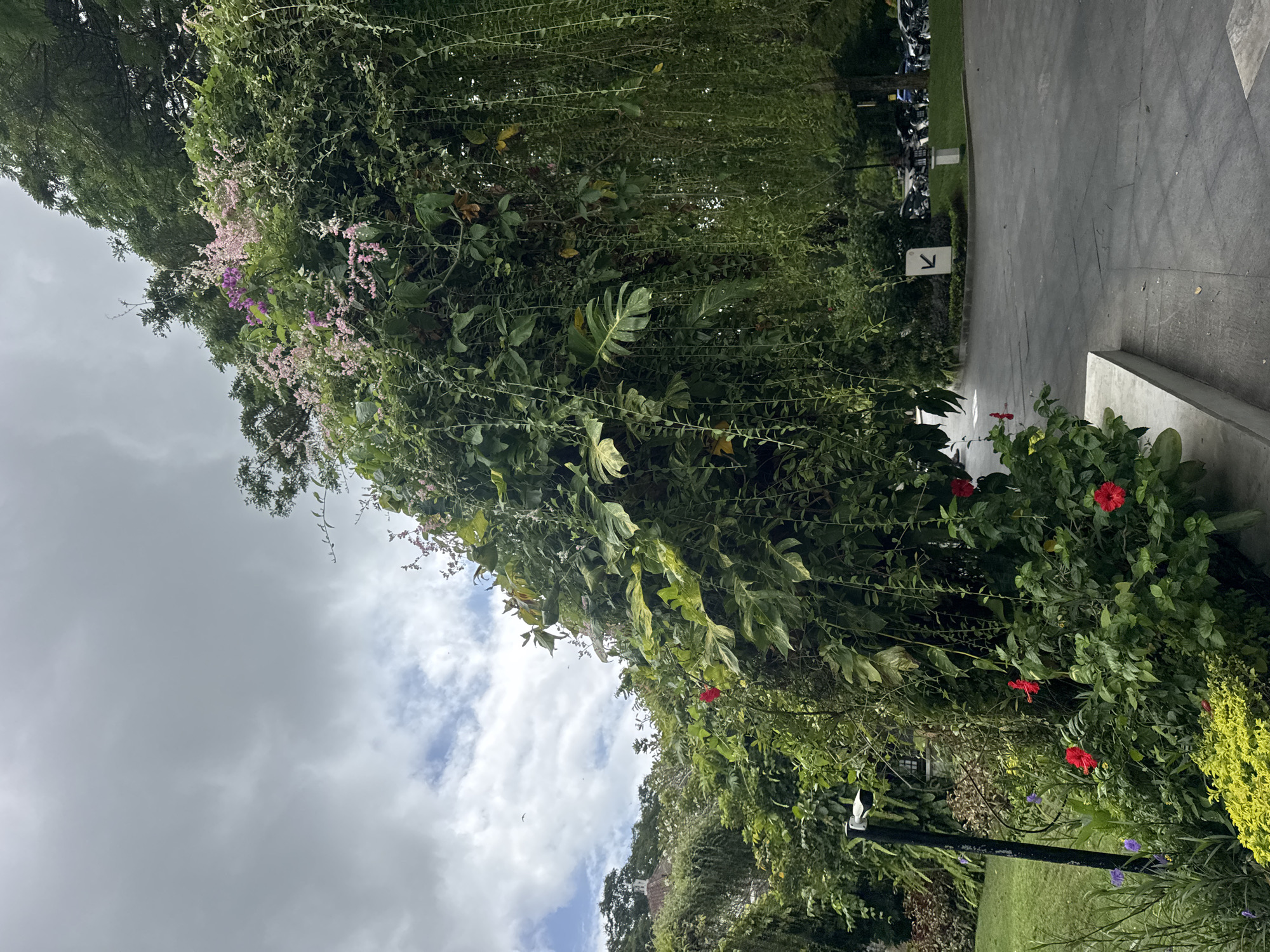 The image, likely taken in Kuta Selatan, Indonesia, presents a street scene. Dominating the view is dense, green vegetation interspersed with red hibiscus and flowering vines with light pink and purple blooms. These grow along the edge of a paved walkway. In the background, a row of parked motorbikes is visible along the edge of the walkway, indicated by a directional arrow sign. The sky is overcast with hints of blue.