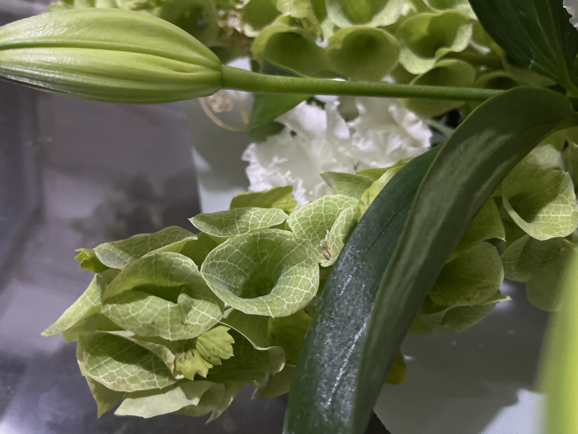 The image shows a close-up, eye-level shot of a floral arrangement. The focus is on the intricate details of several green bell-shaped flowers, with visible vein patterns on their petals. A large, unopened green lily bud is prominent on the right side of the frame. In the background, a few white ruffled flowers are partially visible, adding contrast. A long, dark green leaf stretches diagonally across the foreground, obscuring some of the flowers. The lighting is soft, highlighting the textures and forms of the flowers and leaves. The overall impression is one of natural beauty and delicate detail. There is no indication of the city of Dnipro, Ukraine, or any other specific location within the image. The scene is devoid of any people, actions, or interactions.