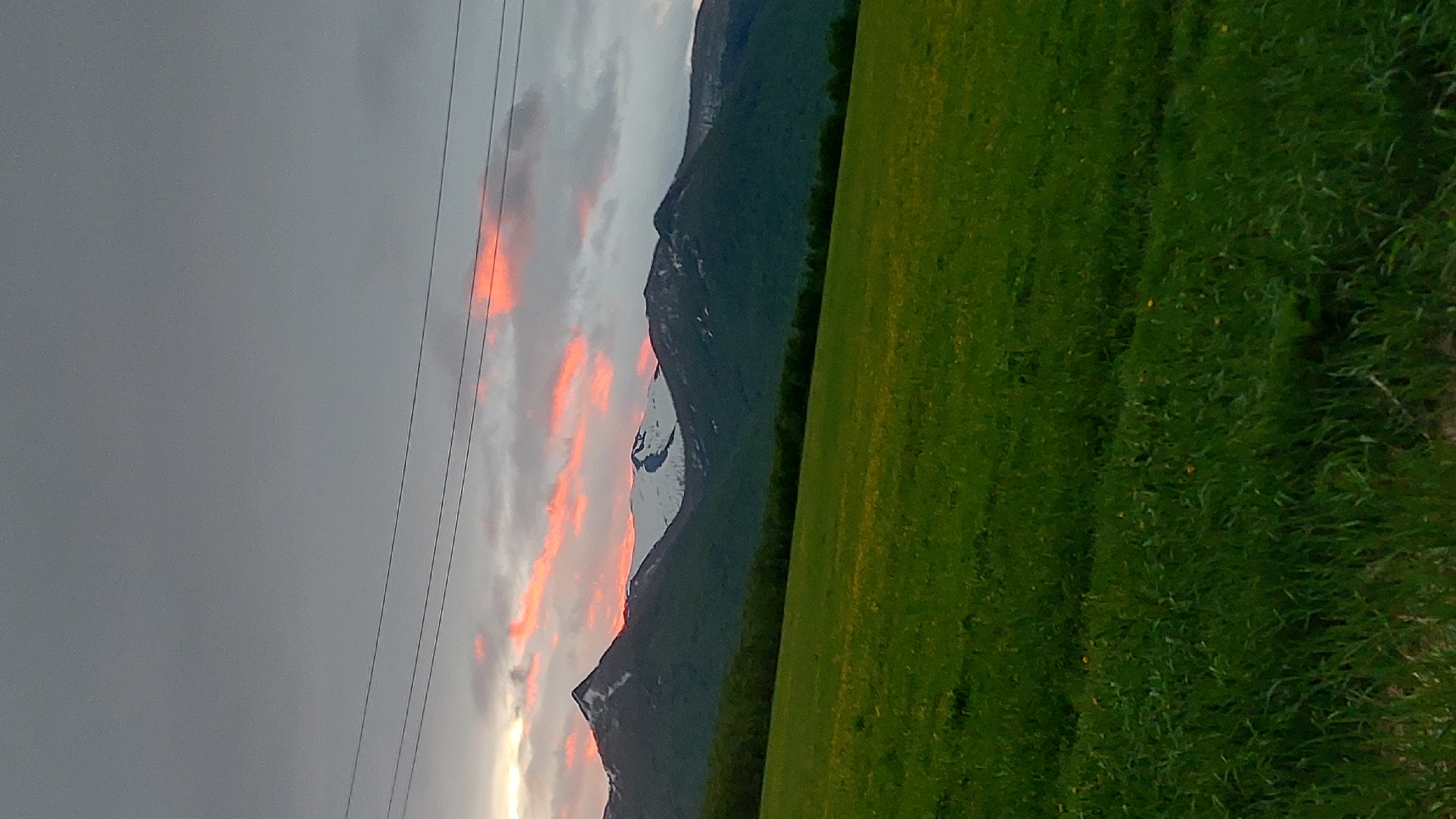 A landscape image captured in the city of Lesnoi, Russia, depicts a view of mountains under a cloudy sky with patches of pink and orange hues, suggesting either sunrise or sunset. In the foreground, a vibrant green meadow stretches across the frame, dotted with small yellow flowers. A line of trees separates the meadow from the base of the mountains. Three power lines are visible traversing the upper portion of the image against the sky. The mountains themselves are covered in lush green vegetation on their lower slopes, transitioning to snow-capped peaks in the distance.
