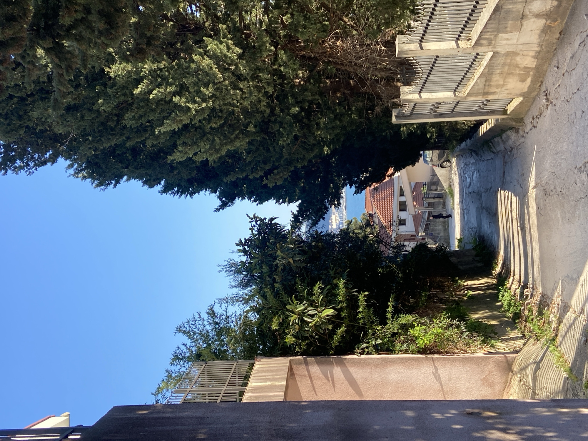 An upward-angled shot portrays a narrow, steep descending lane situated in Šušanj, Montenegro. The lane is flanked by concrete walls and fences, interspersed with lush greenery and towering trees that canopy the path, casting shadows on the lane's surface. A glimpse of residential buildings with terracotta roofs and the distant Adriatic Sea are visible through the break in the vegetation. The image is dominated by the contrast between the bright blue sky and the dense green foliage. A distant car and two distant people are visible in the lane.
