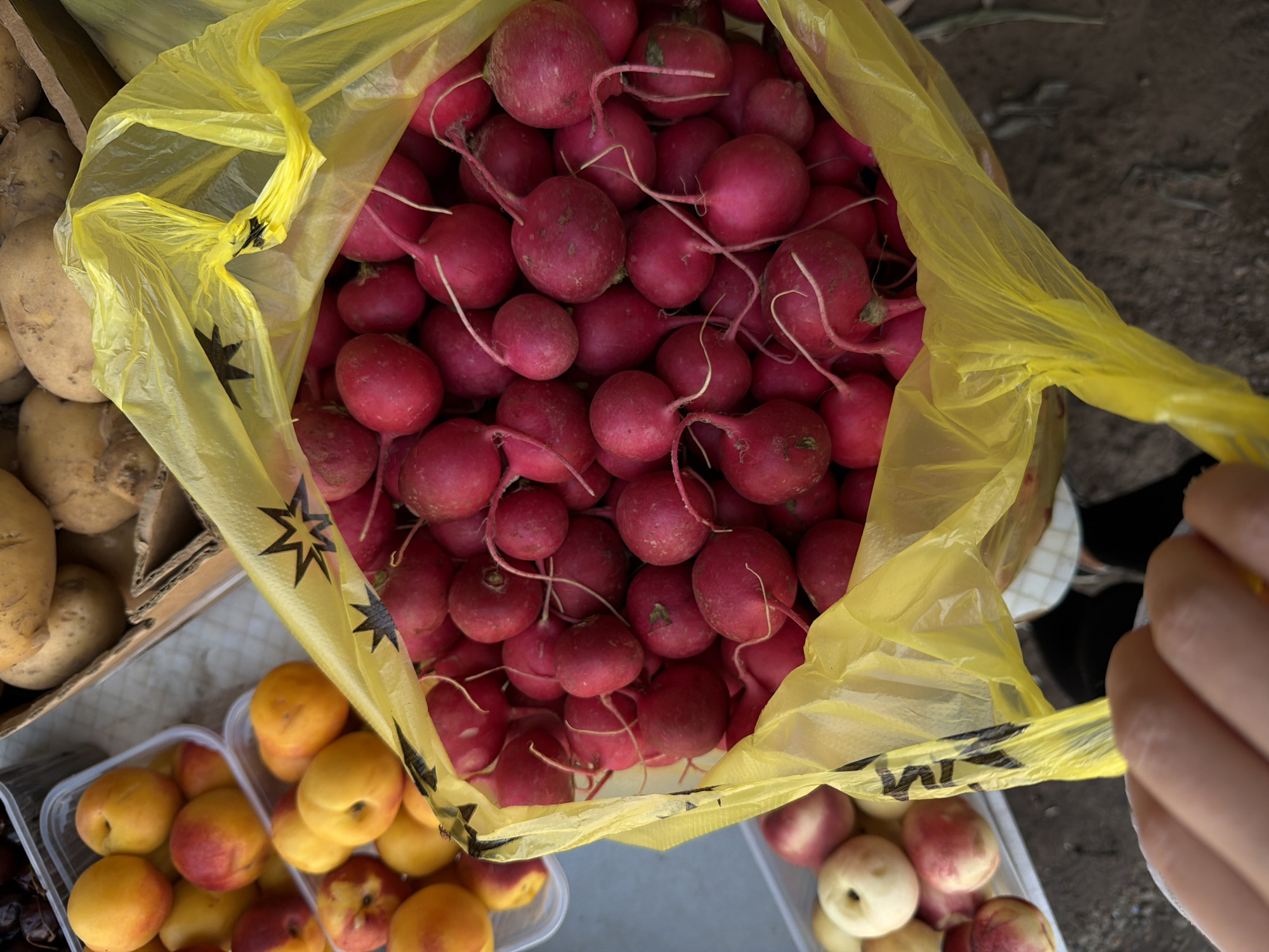 A close-up, high-angle shot captures a person's hand reaching into a bright yellow plastic bag filled with radishes. The radishes are a vibrant red, with some showing hints of pink, and have thin white roots. The bag is partially open, revealing the abundance of radishes within. In the background, out of focus, are containers of peaches and potatoes, suggesting a market or outdoor stall setting. The ground appears to be dirt or gravel. The scene is set in the city of Kamyshin, Russia.